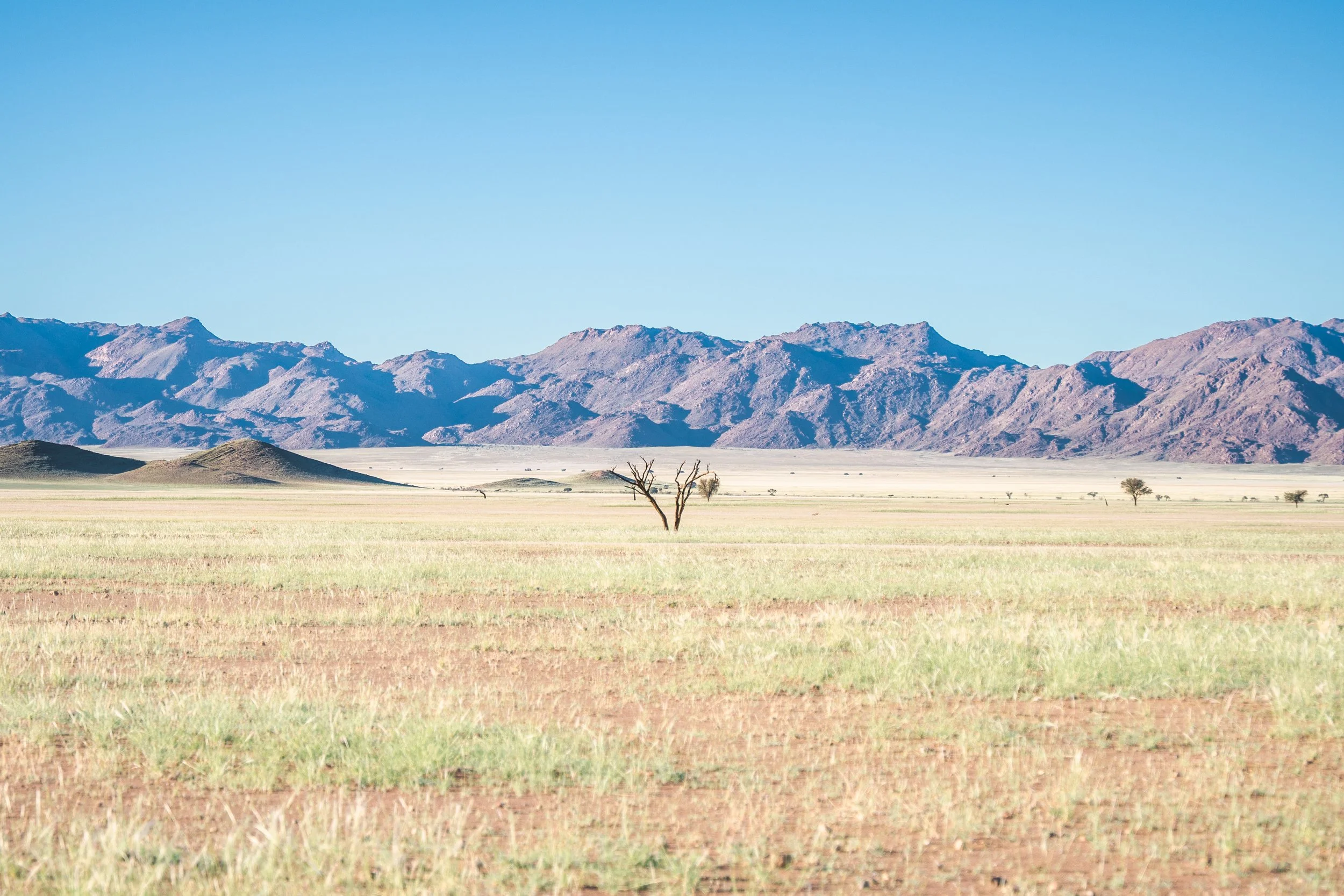 Namibia, Africa.