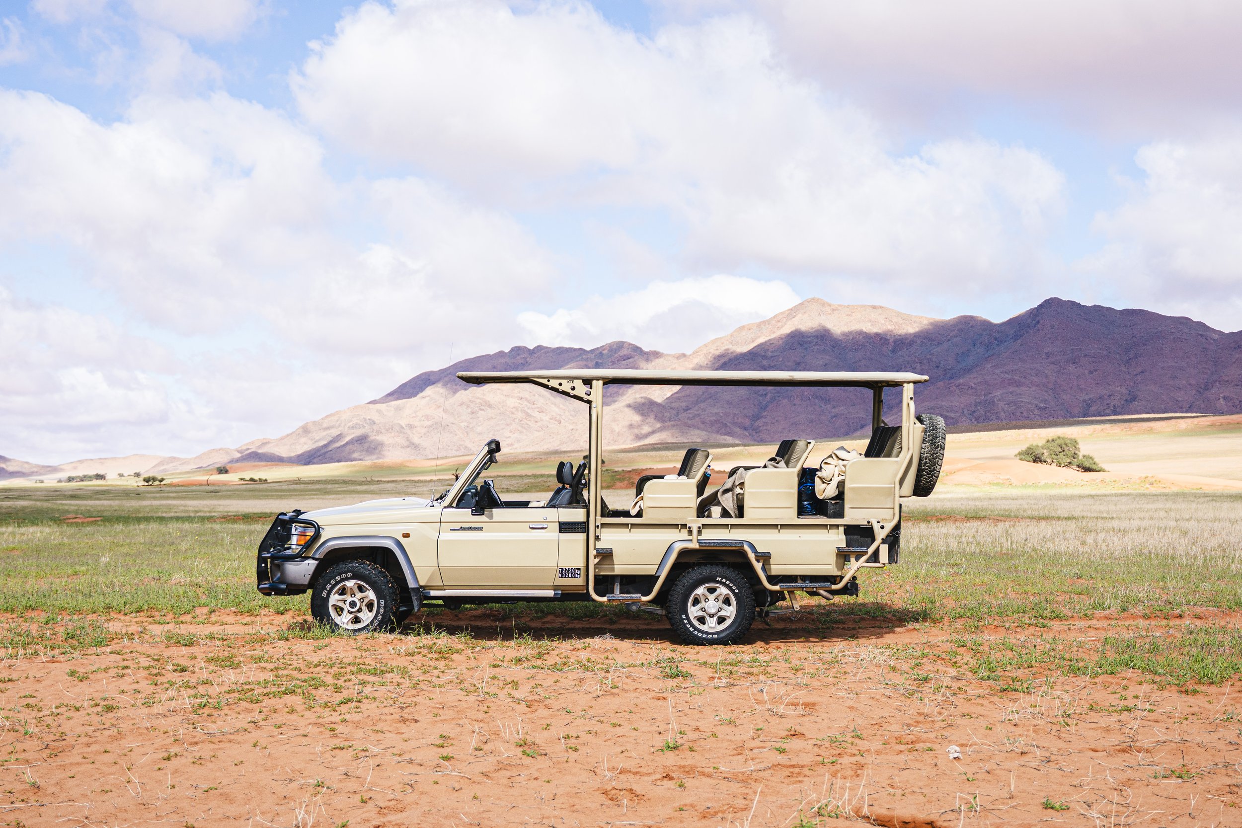 01 Cheetah-237.jpg