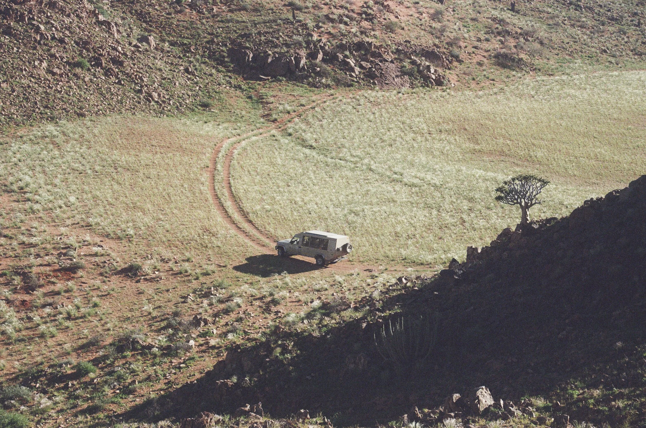 01 Cheetah-322.jpg