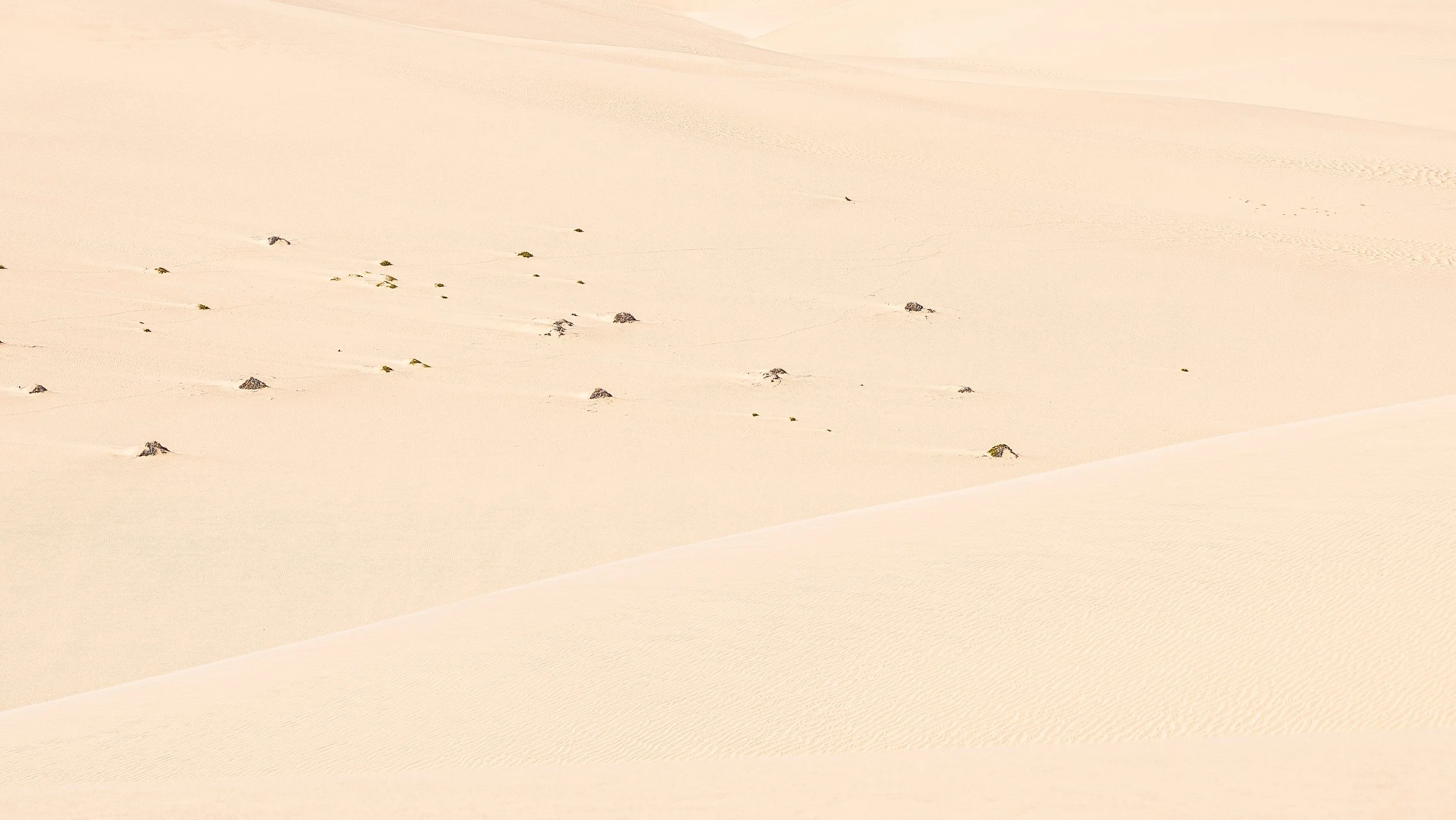 Namibia, Africa.