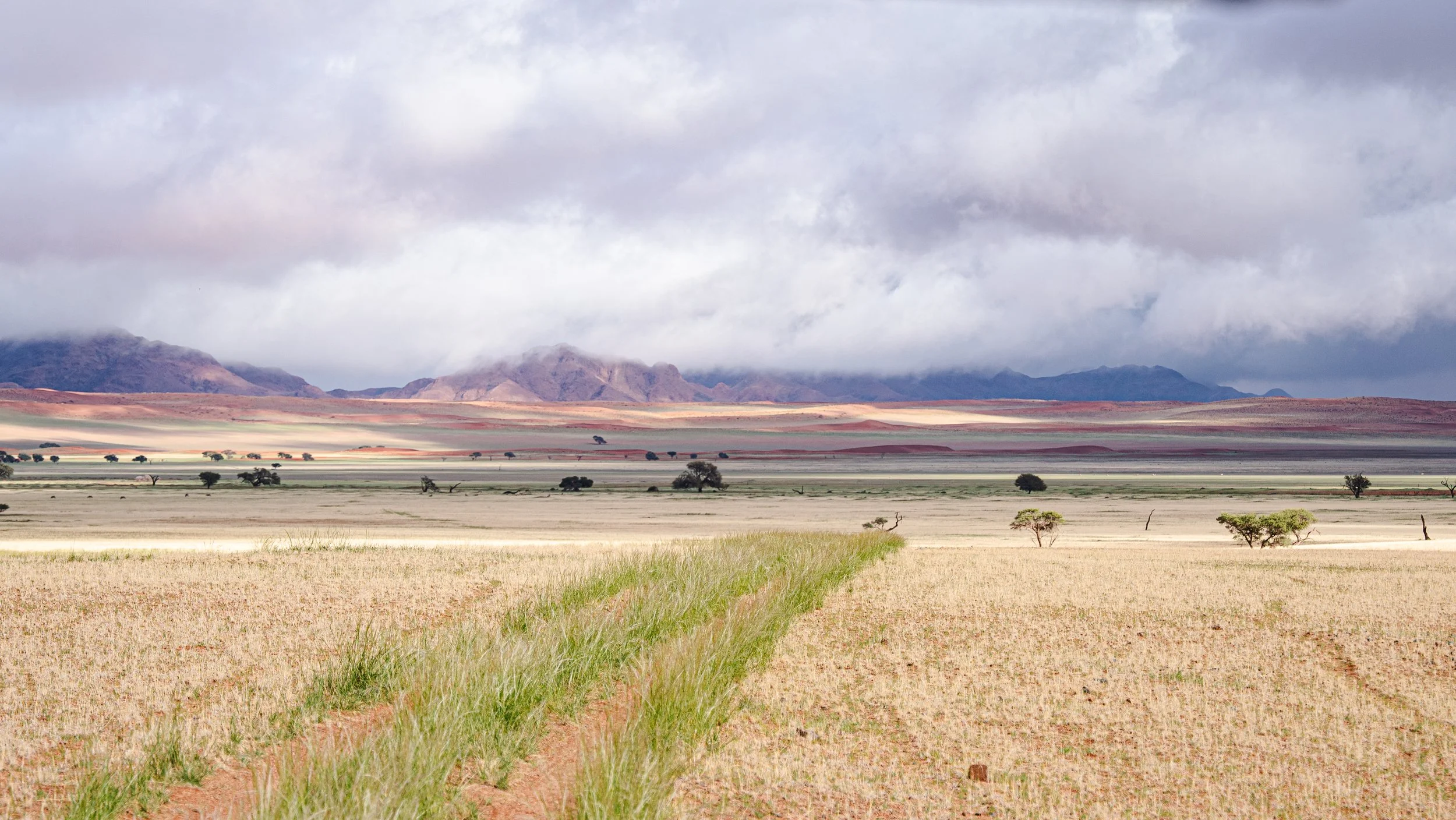 Landscapes