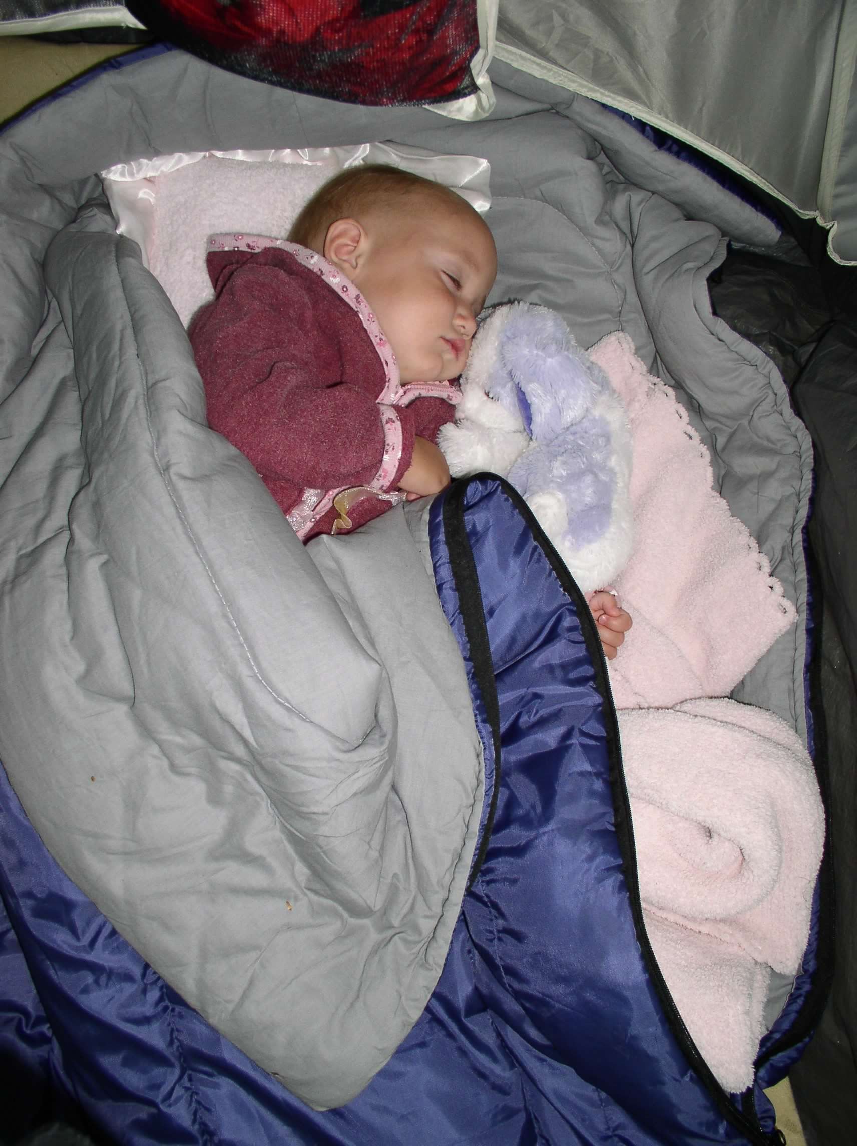 2004 Yosemite 063.jpg