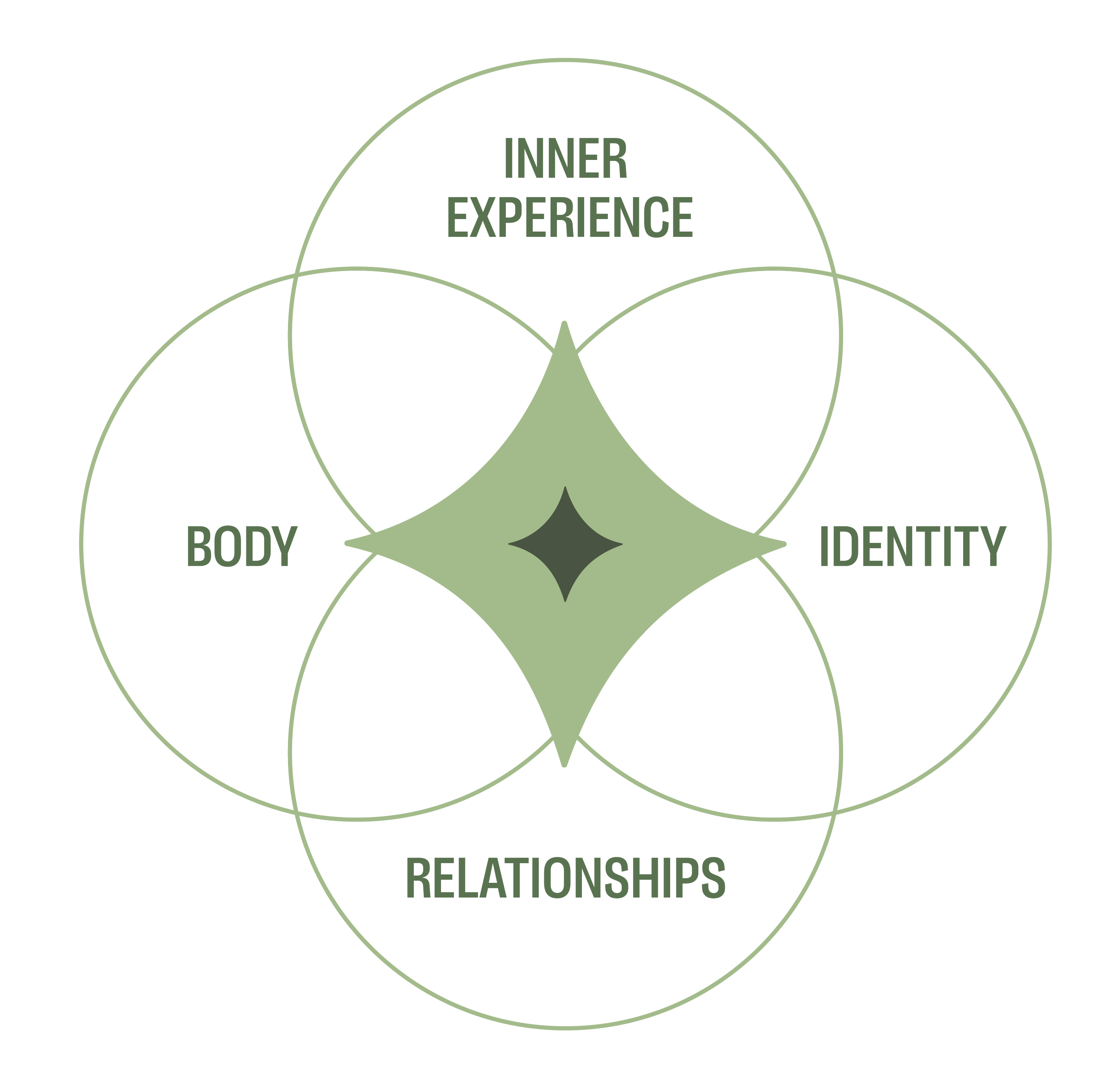 A Venn diagram illustrating the interconnectedness of inner experience, body, identity, and relationships with the overlapping sections.