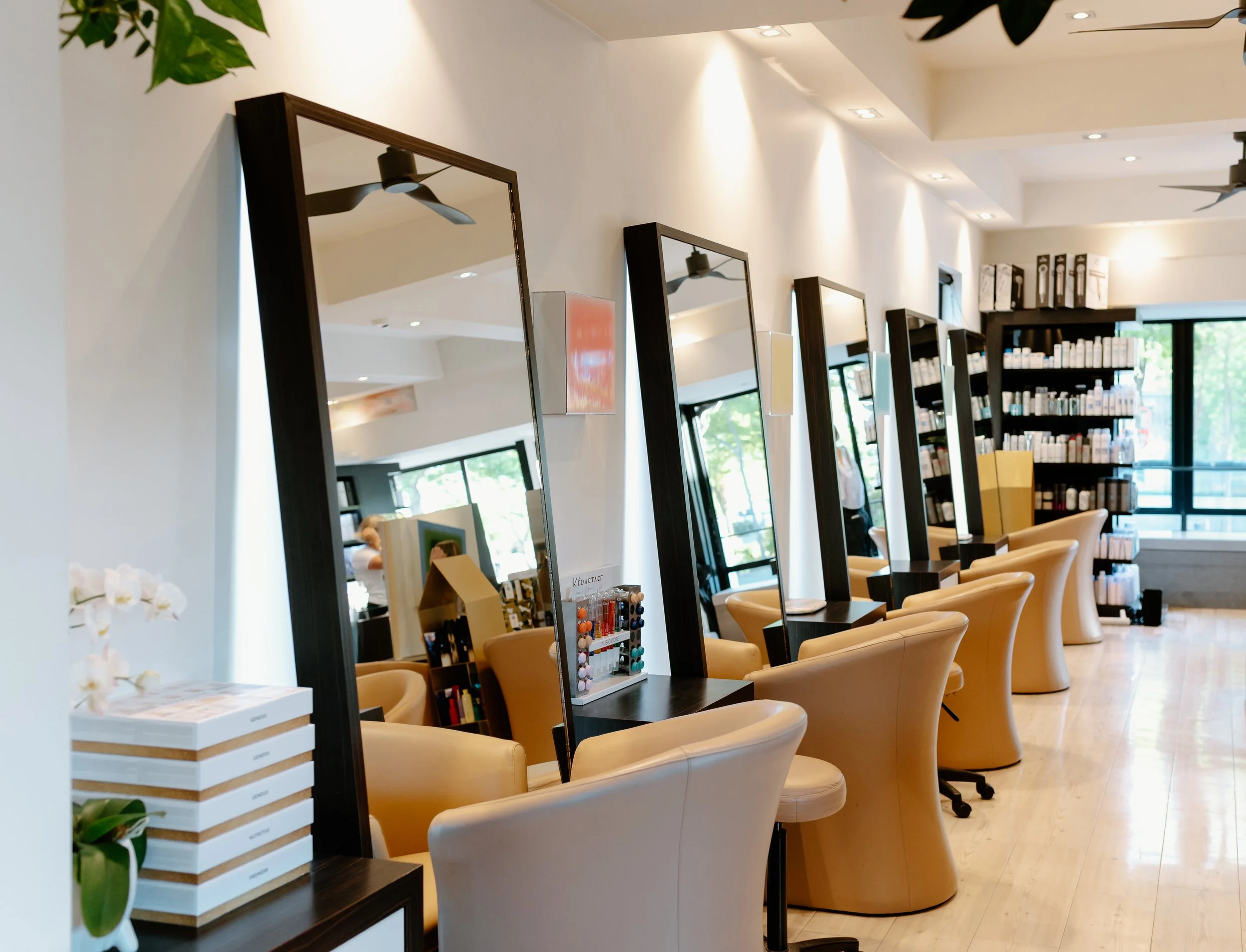 Mod's Hair Salon, Christchurch, New Zealand