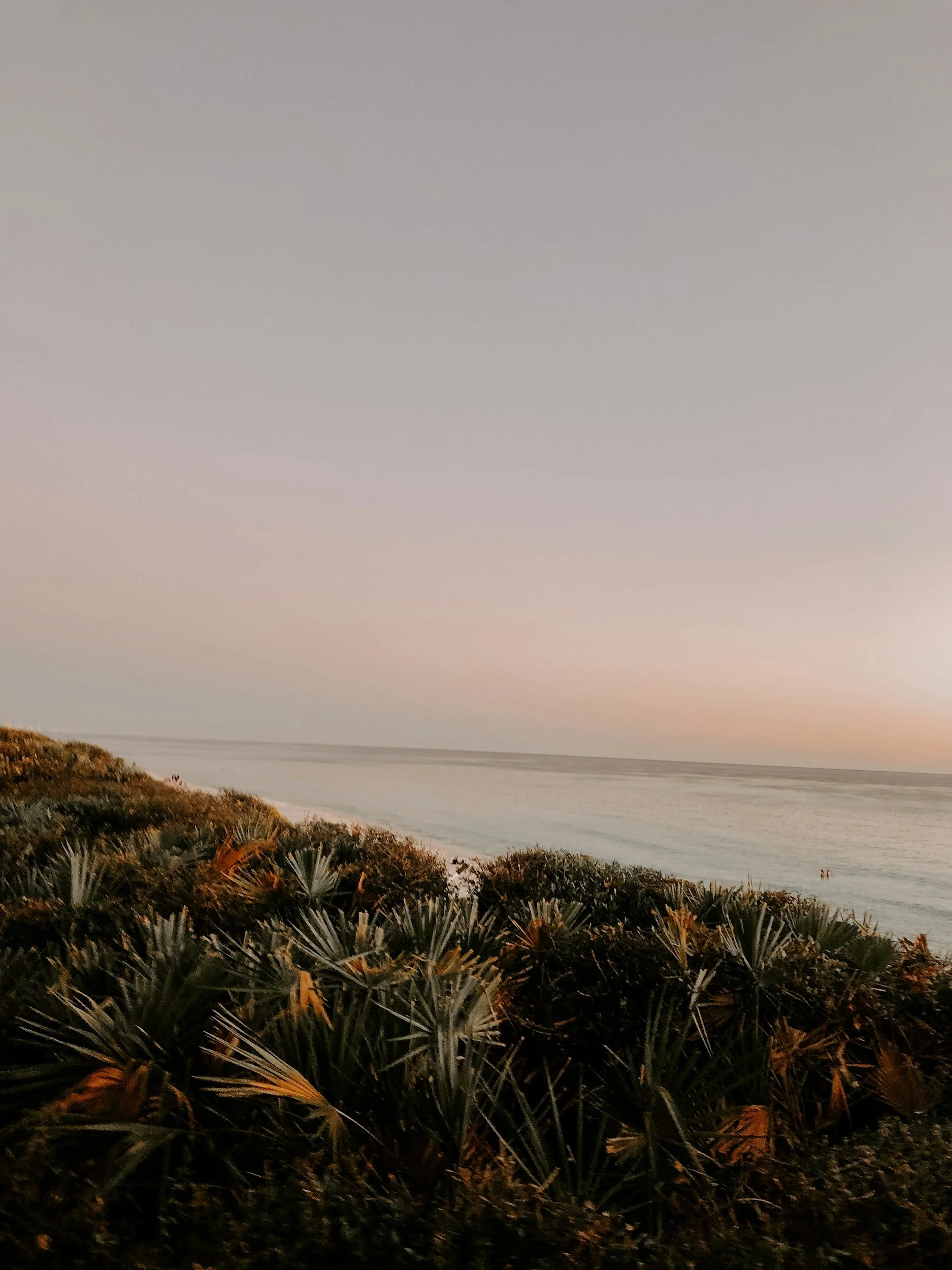 A coastal landscape at sunset with bushes in the foreground, calm ocean in the middle, and a colorful sky at dusk in the background.