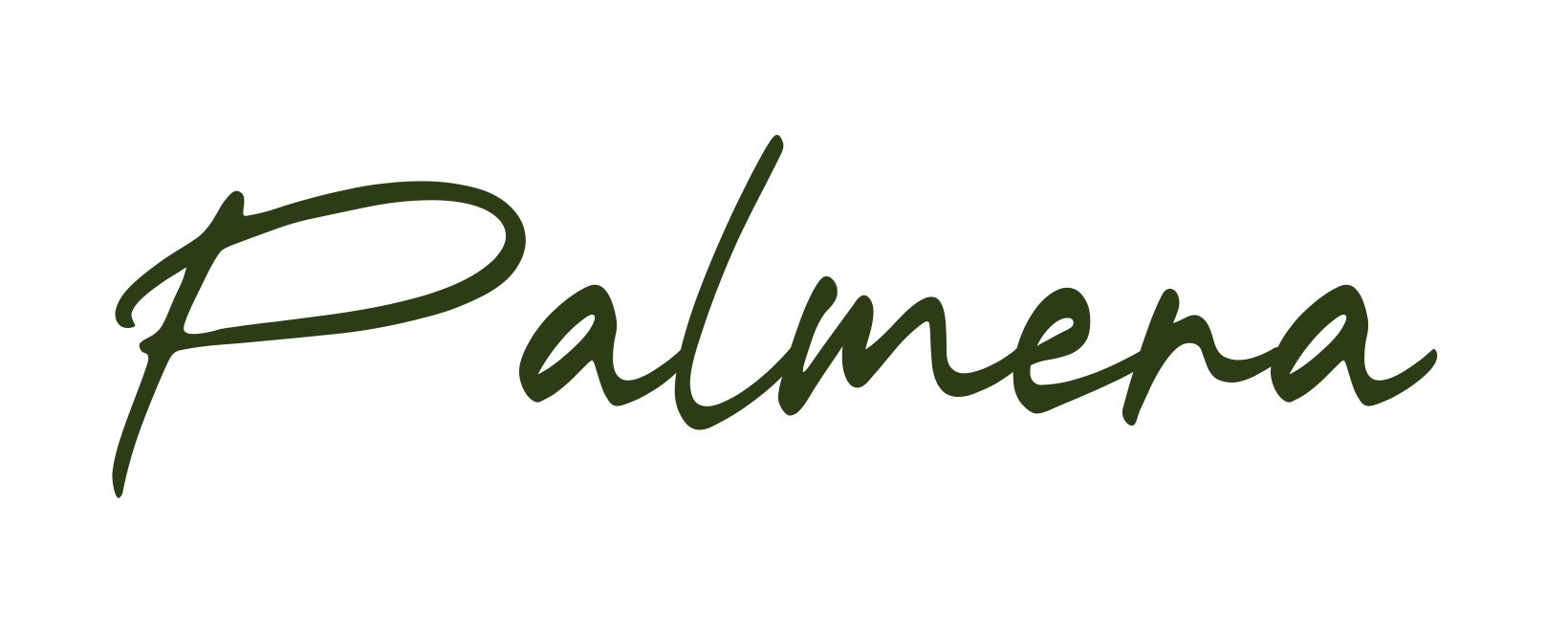 The word "Palmera" written in a stylish handwritten cursive font in a dark green color.