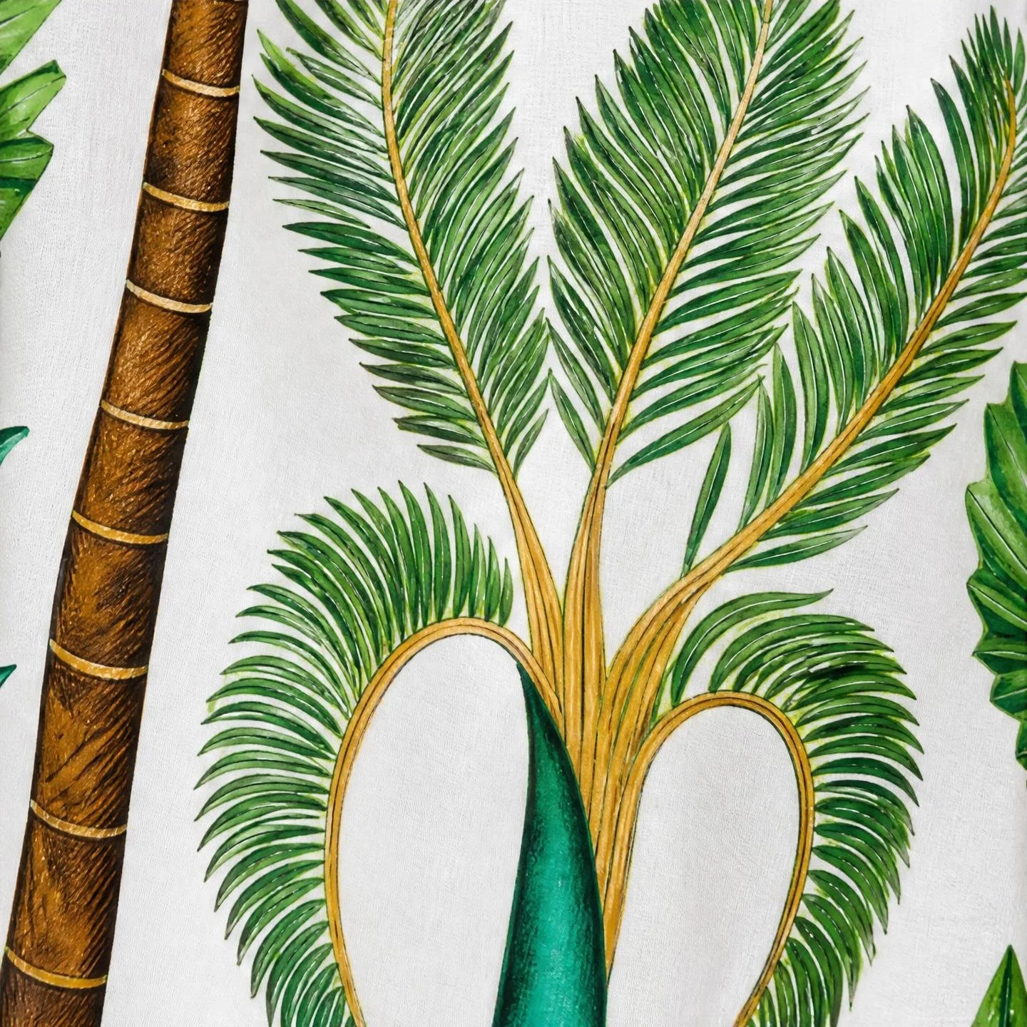 palmera_palm-study_10.jpeg