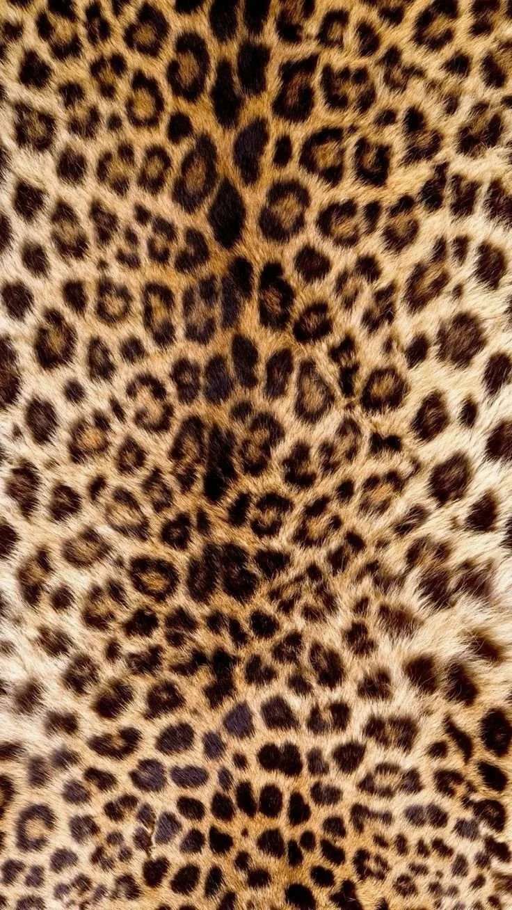 Close-up of a leopard's fur with distinctive black rosettes and spots on a golden background.