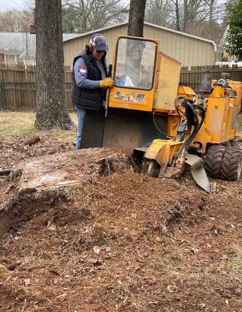 Professional stump grinding in Charlotte, NC