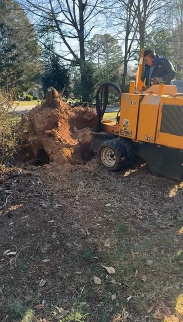 stump removal service in Cornelius, NC
