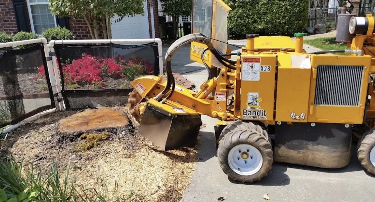 Tree stump grinding charlotte north carolina.jpg