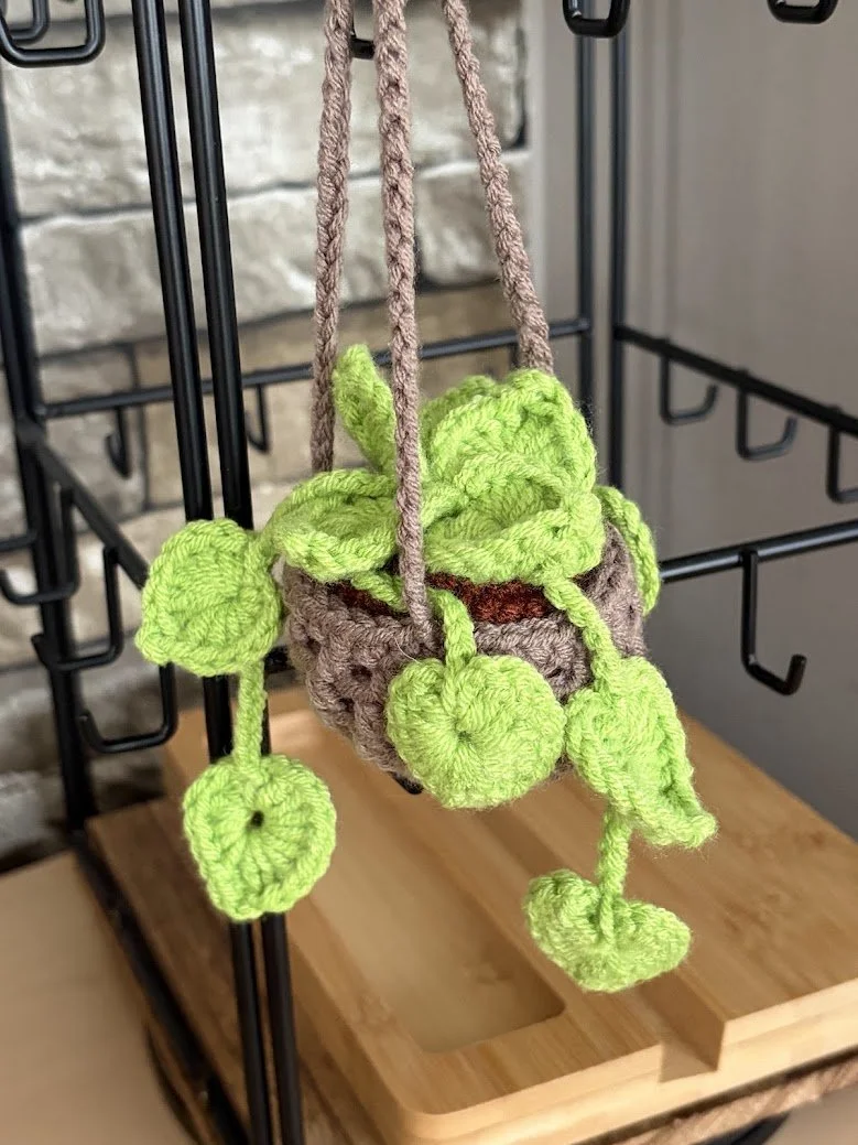 Hanging Plant Decor