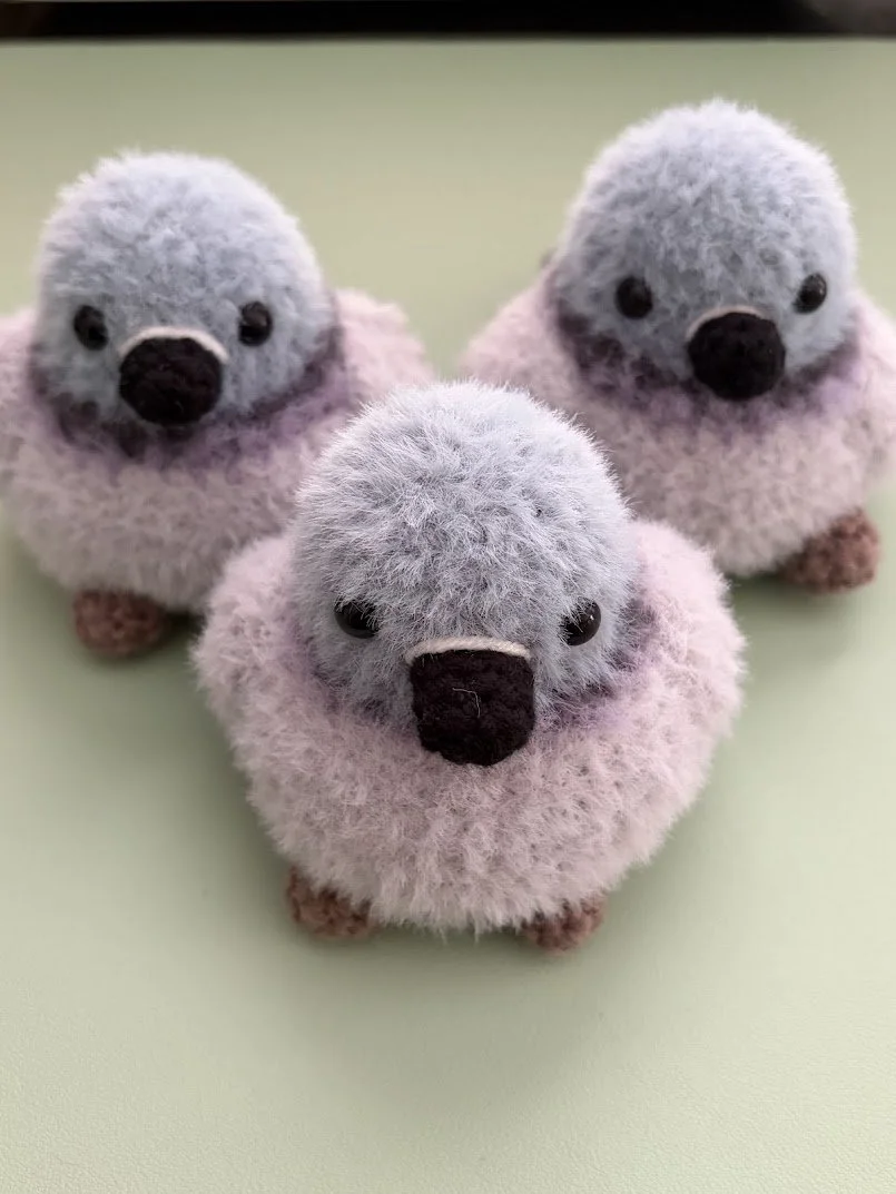 Fluffy Pigeon Buddy