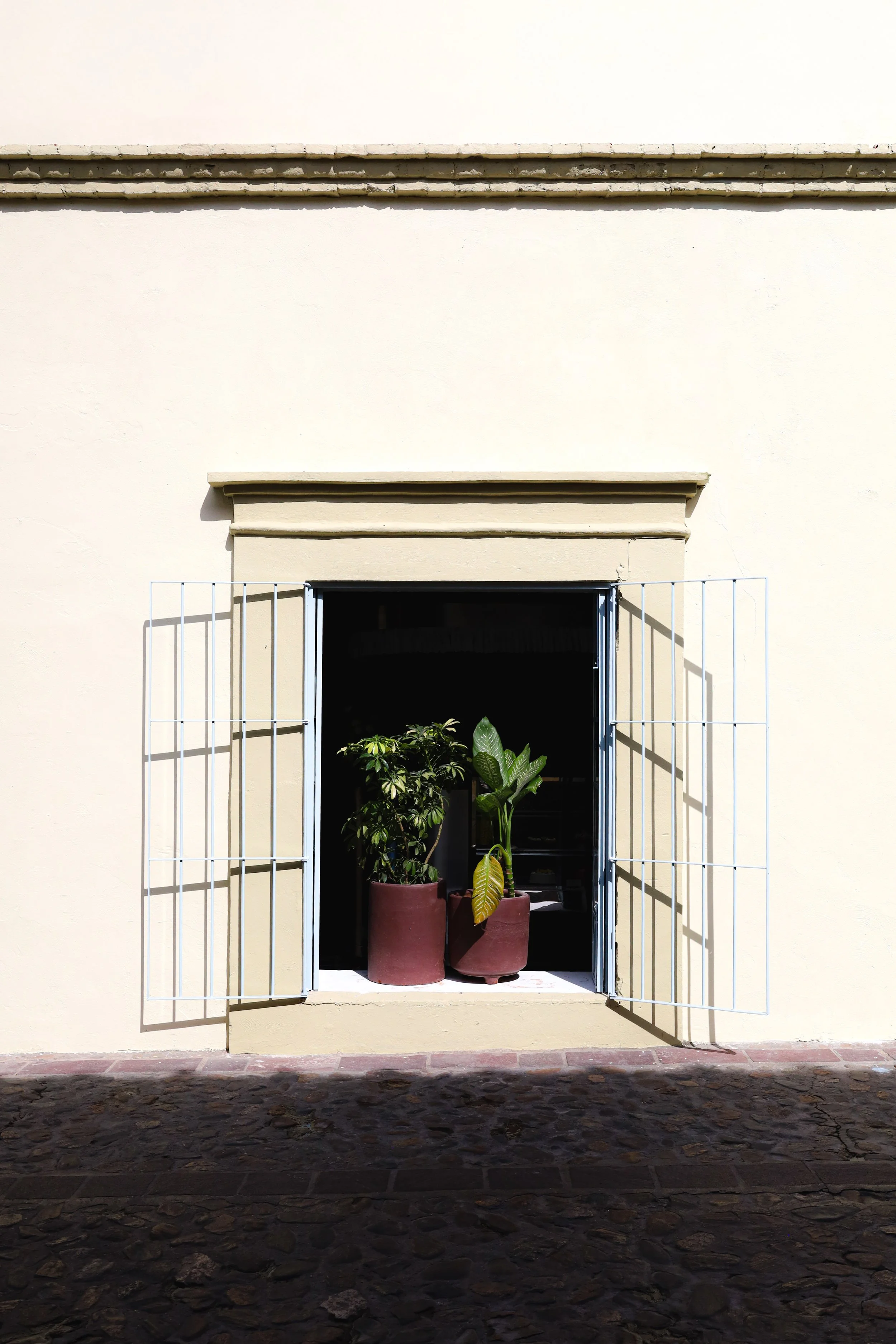 Vista de la fachada con pared blanca de Arrullo Oaxaca sobre la calle de 5 de Mayo en el barrio de Jalatlaco, una ventana con reja de metal abierta, y en el interior, varias plantas en macetas rojas, sobre un fondo oscuro.