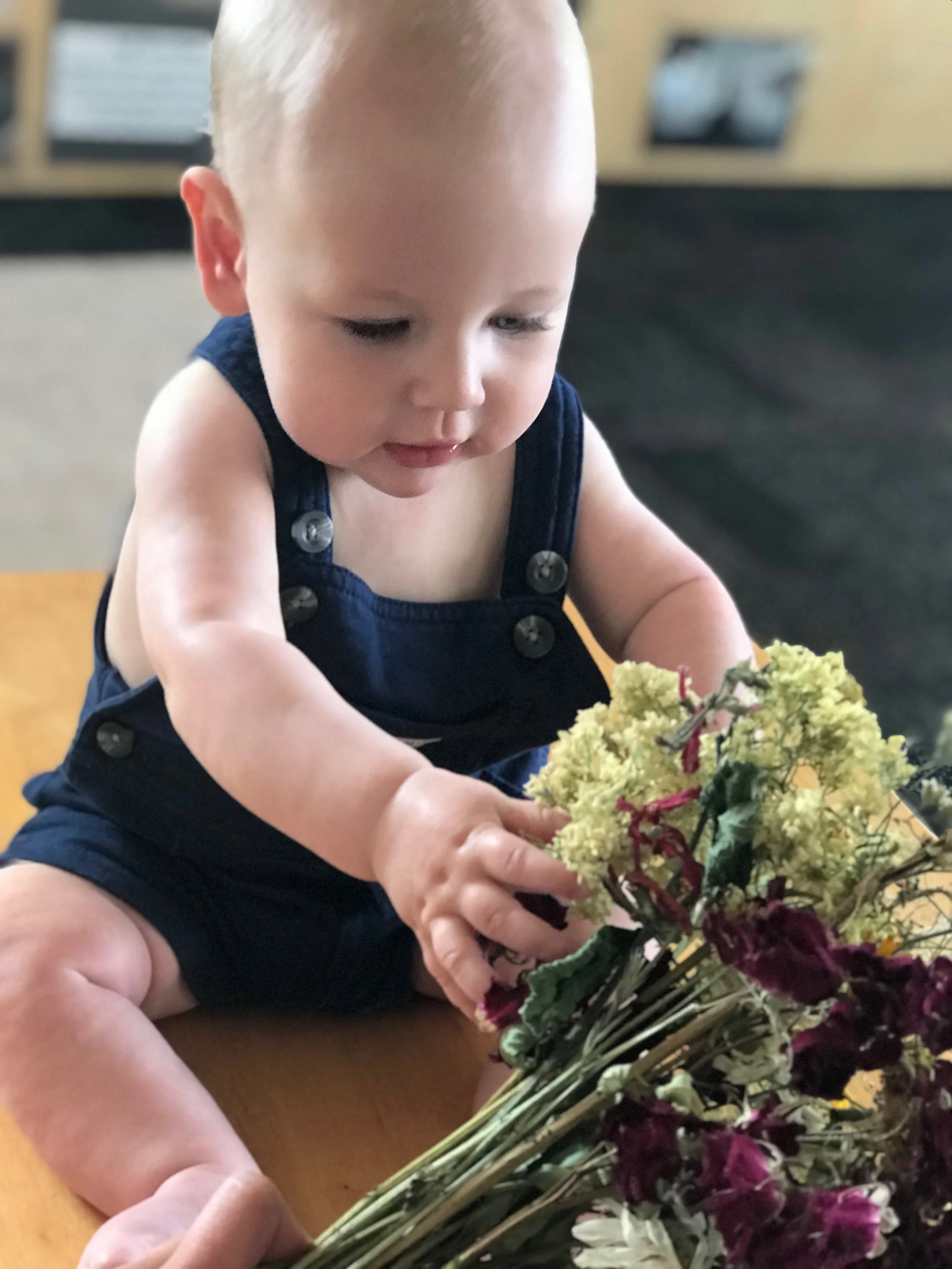 One-Time Parent Consultation