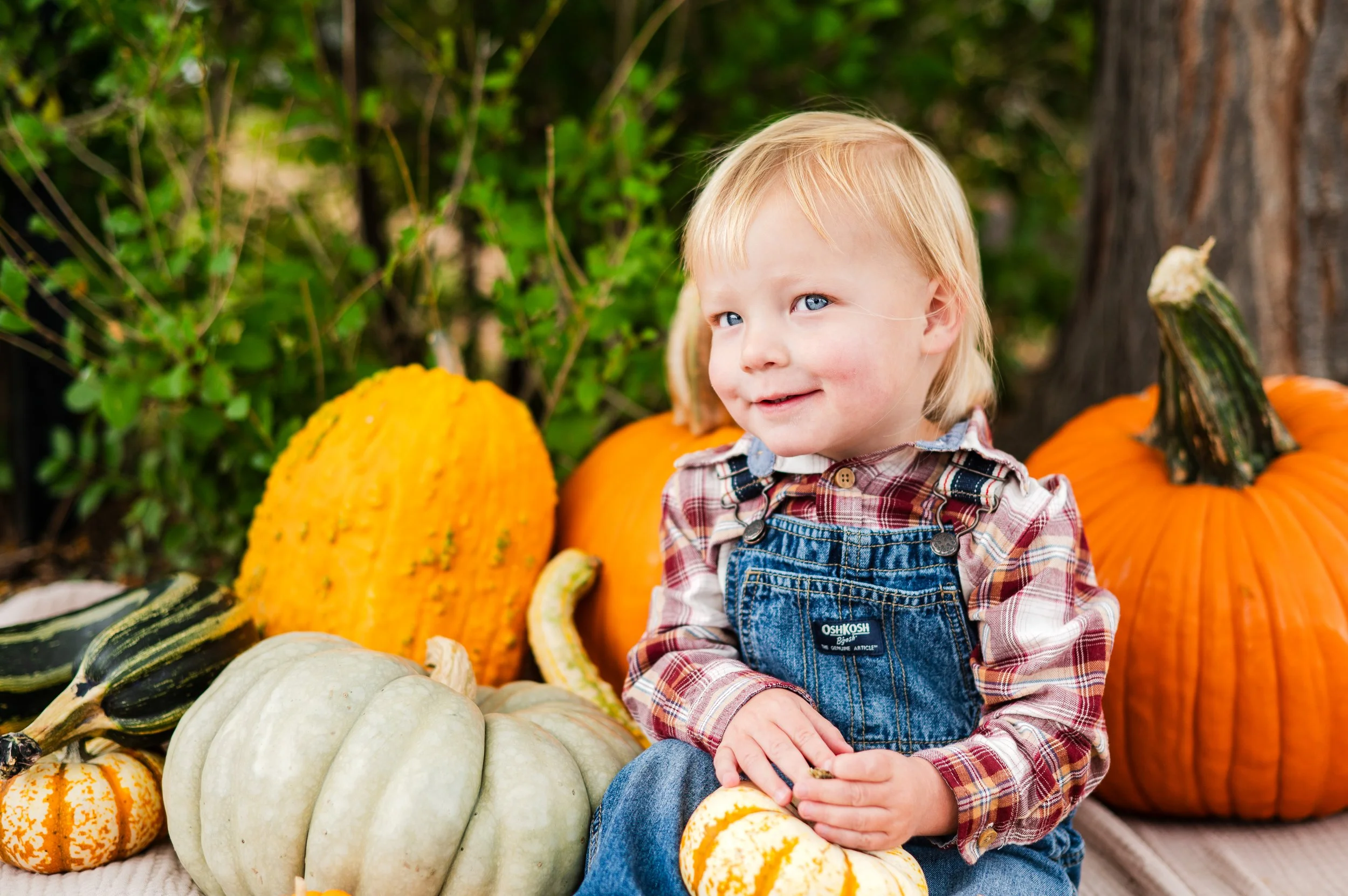 One-Time Parent Consultation