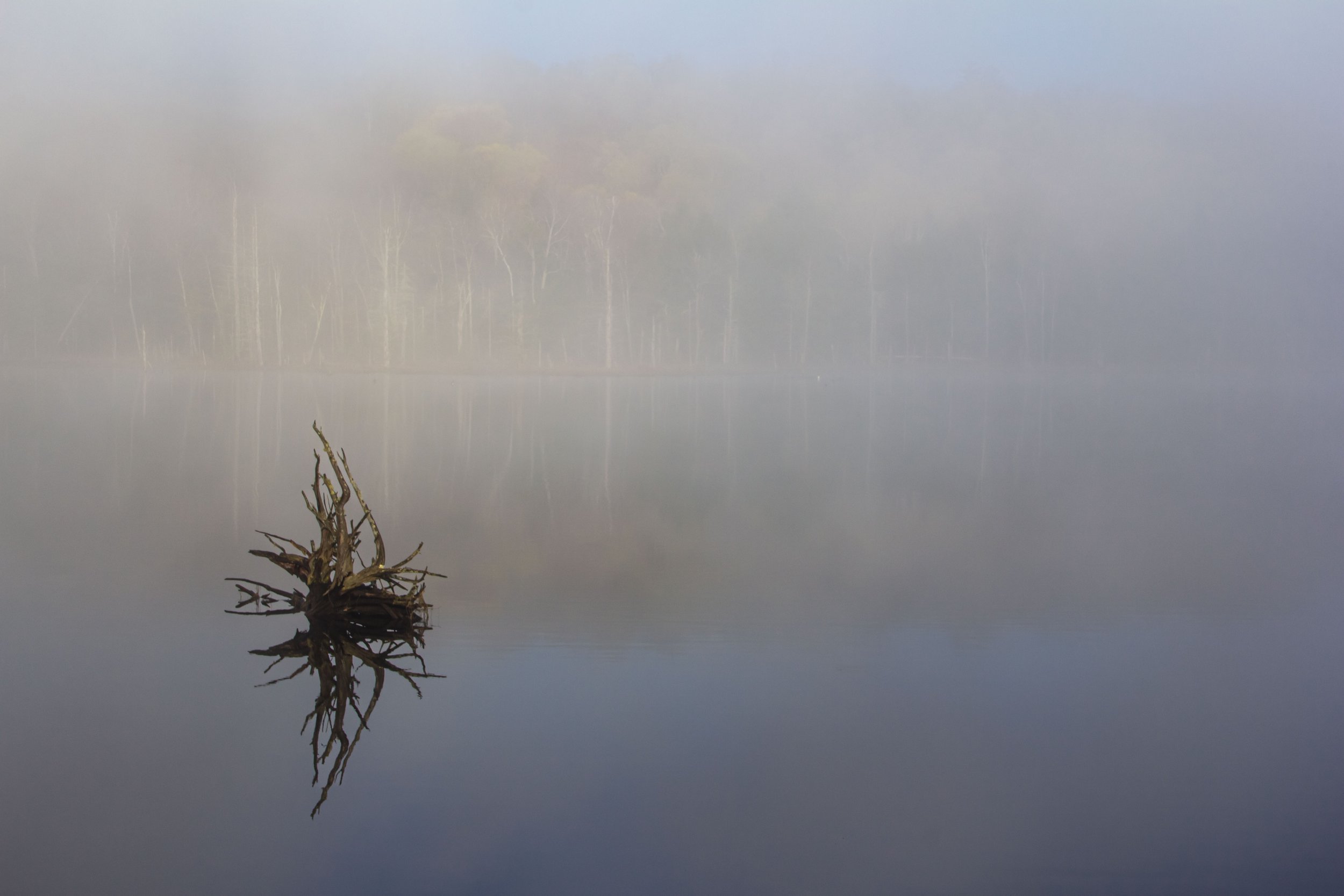 _MG_9986_1.jpg