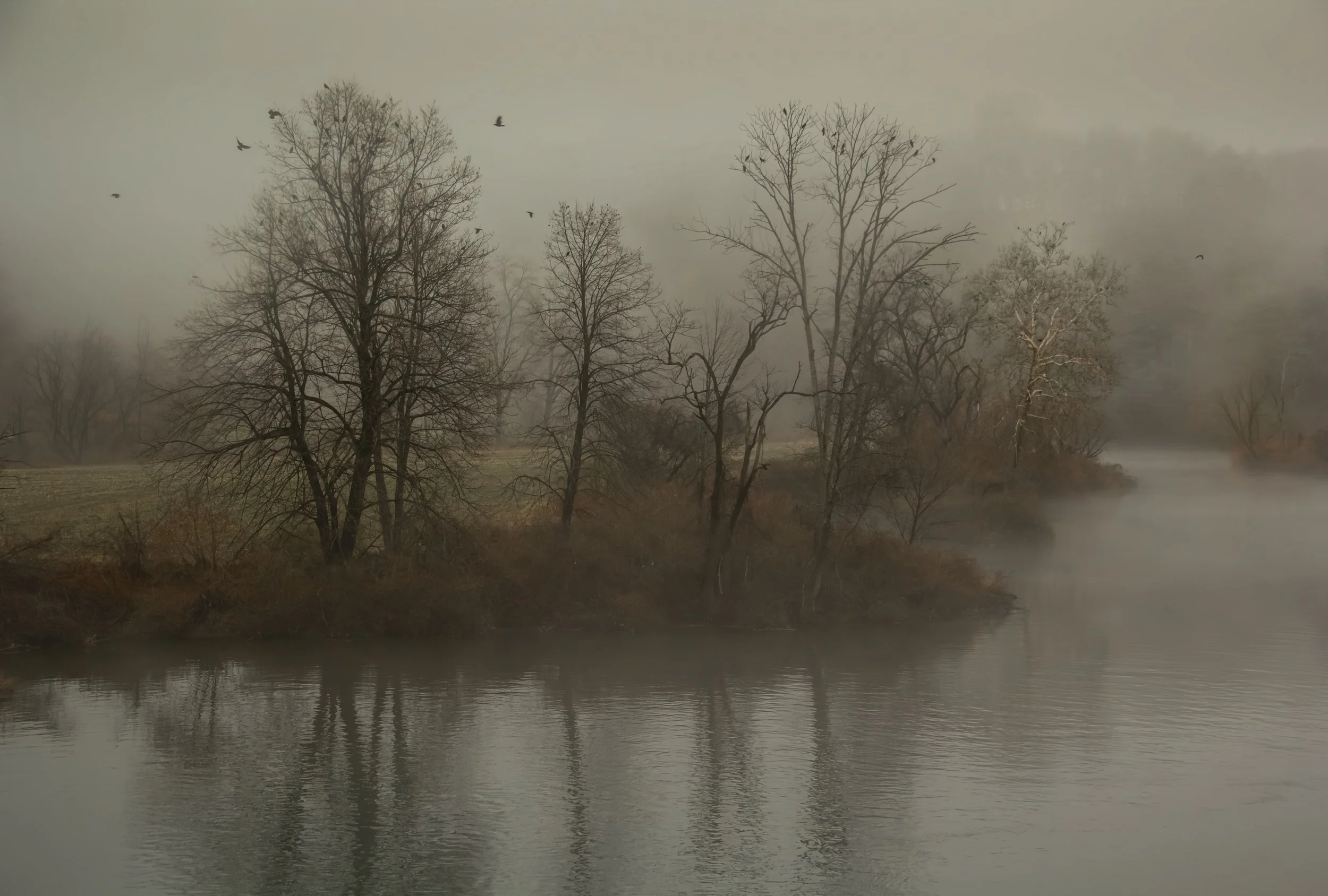 Early Frost-2.jpg