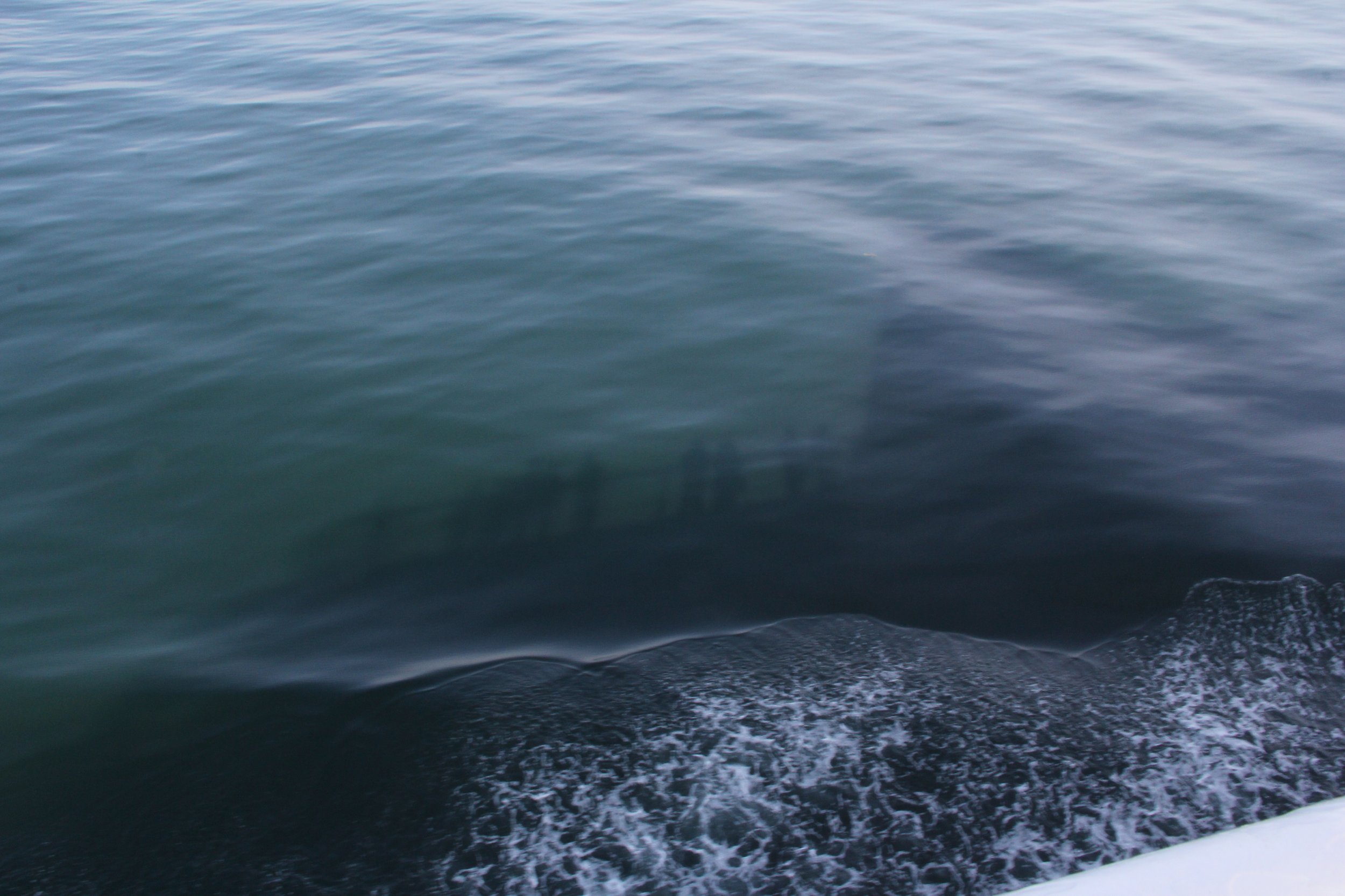 people of the sea.JPG