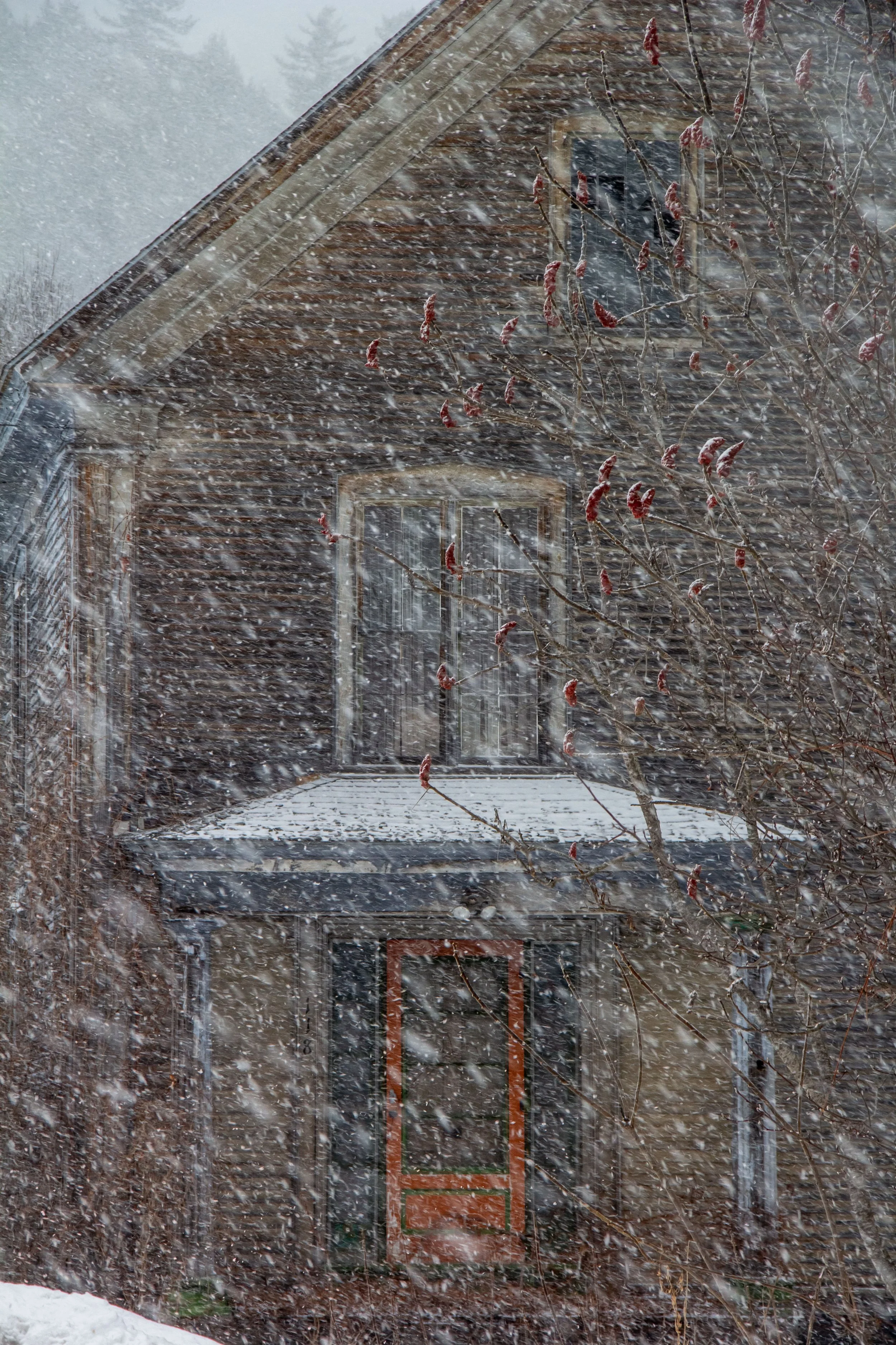 Sumac House 221