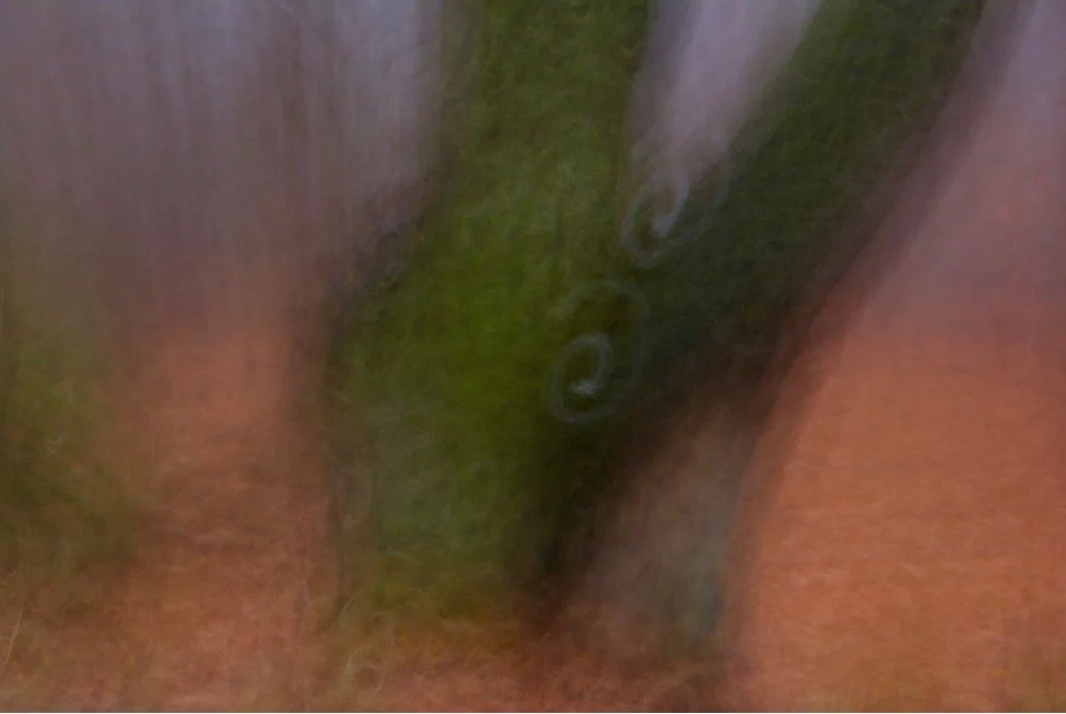 492740542_9720750351295947_4875045862296481435_n.jpg