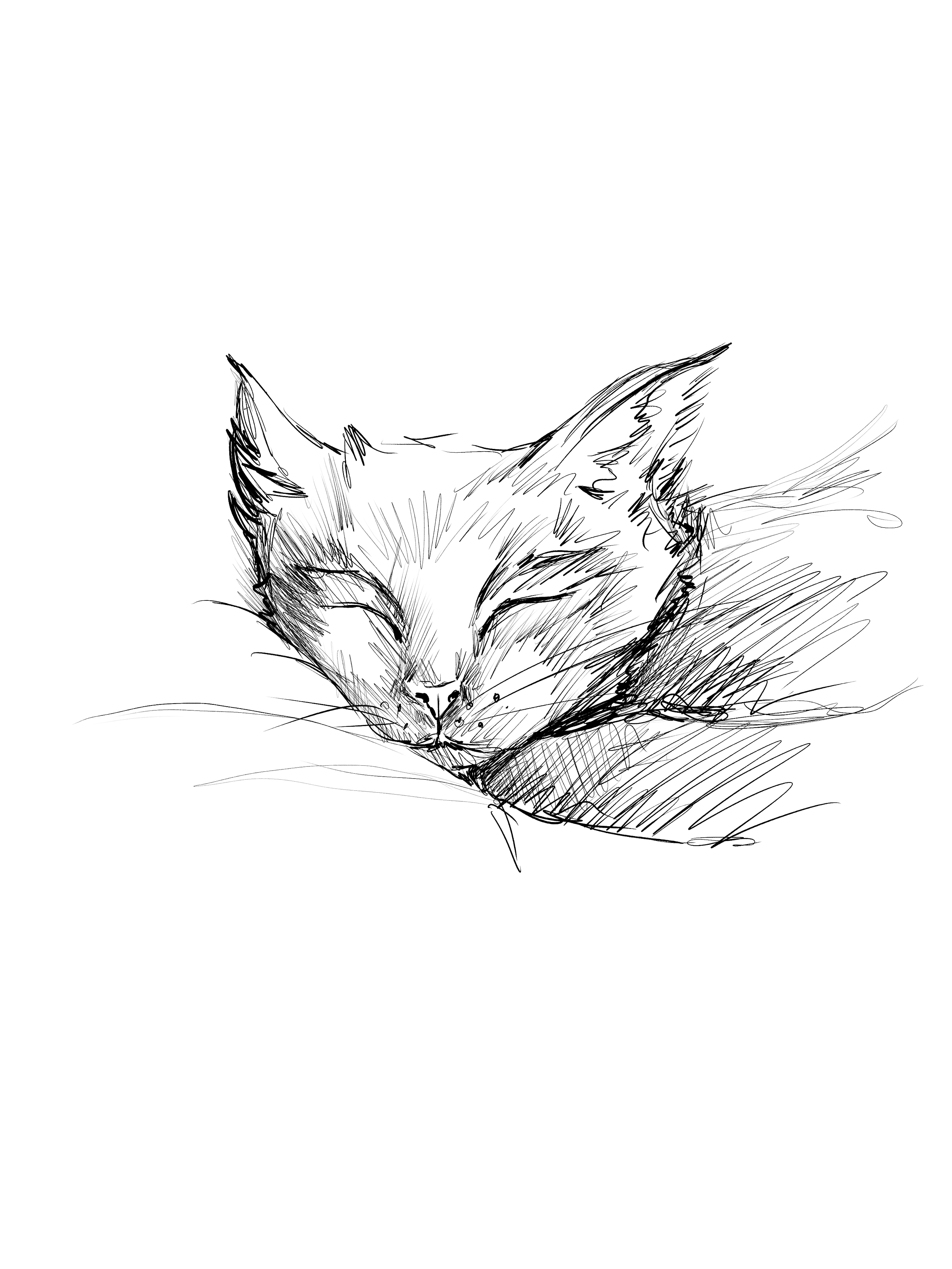 pause6.png
