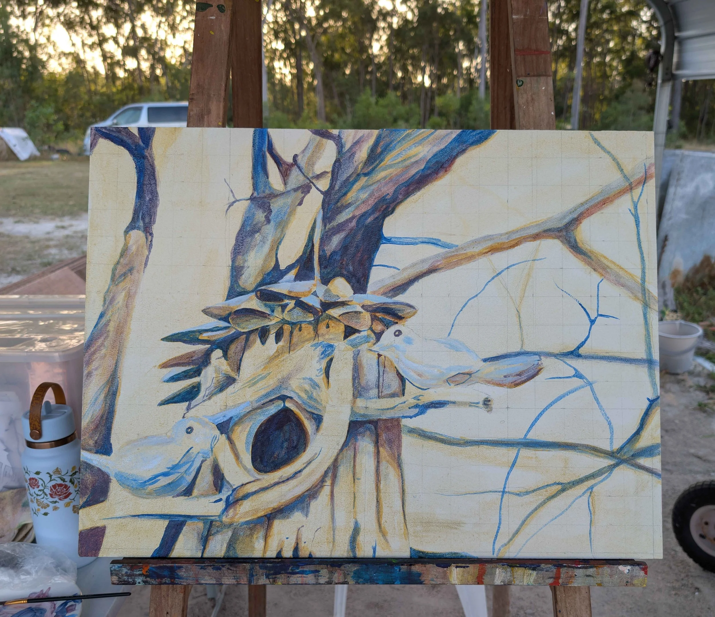 PXL_20260420_064929078.jpg