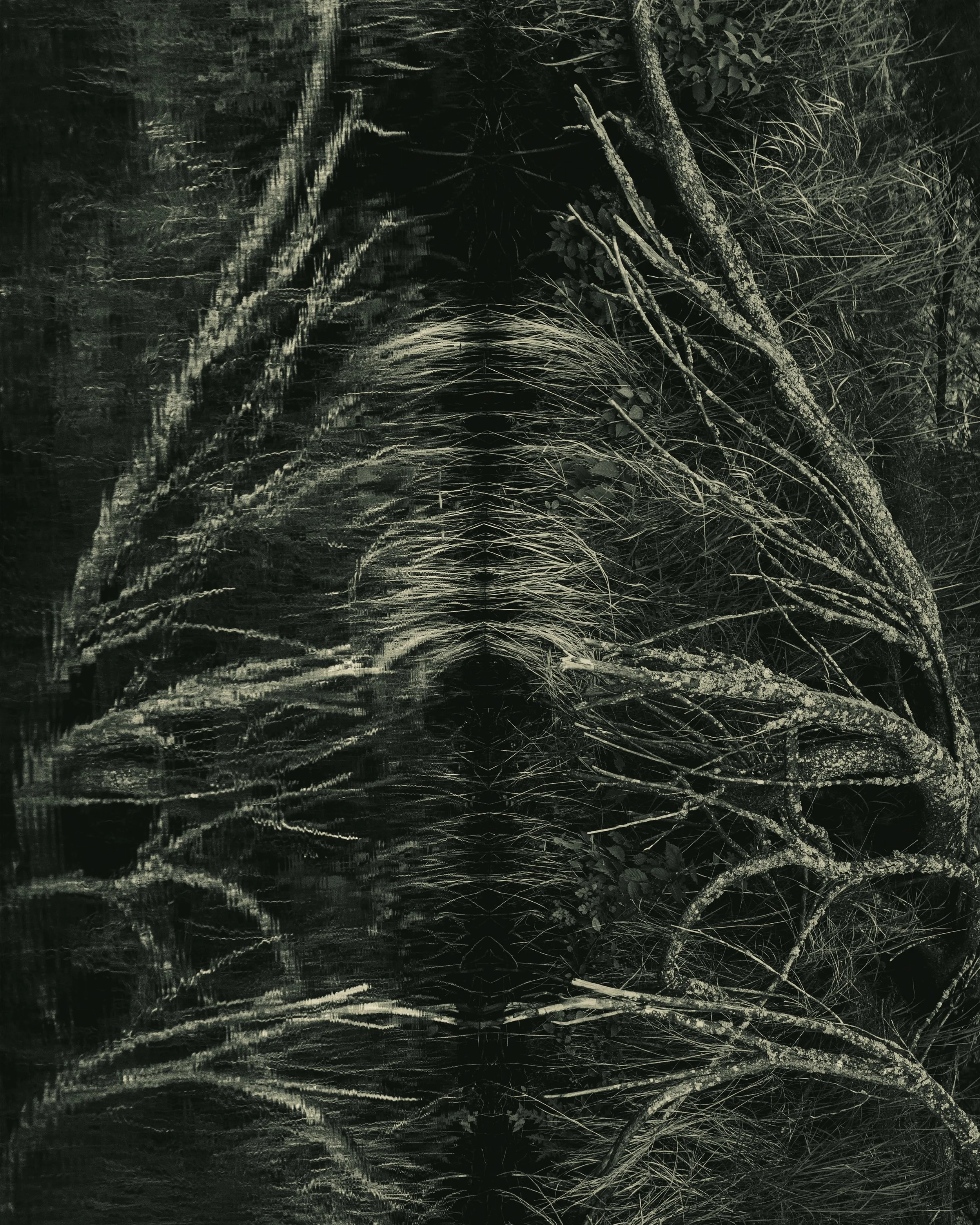 Aedes Naturae (Sanctuary of Nature) in Black and White