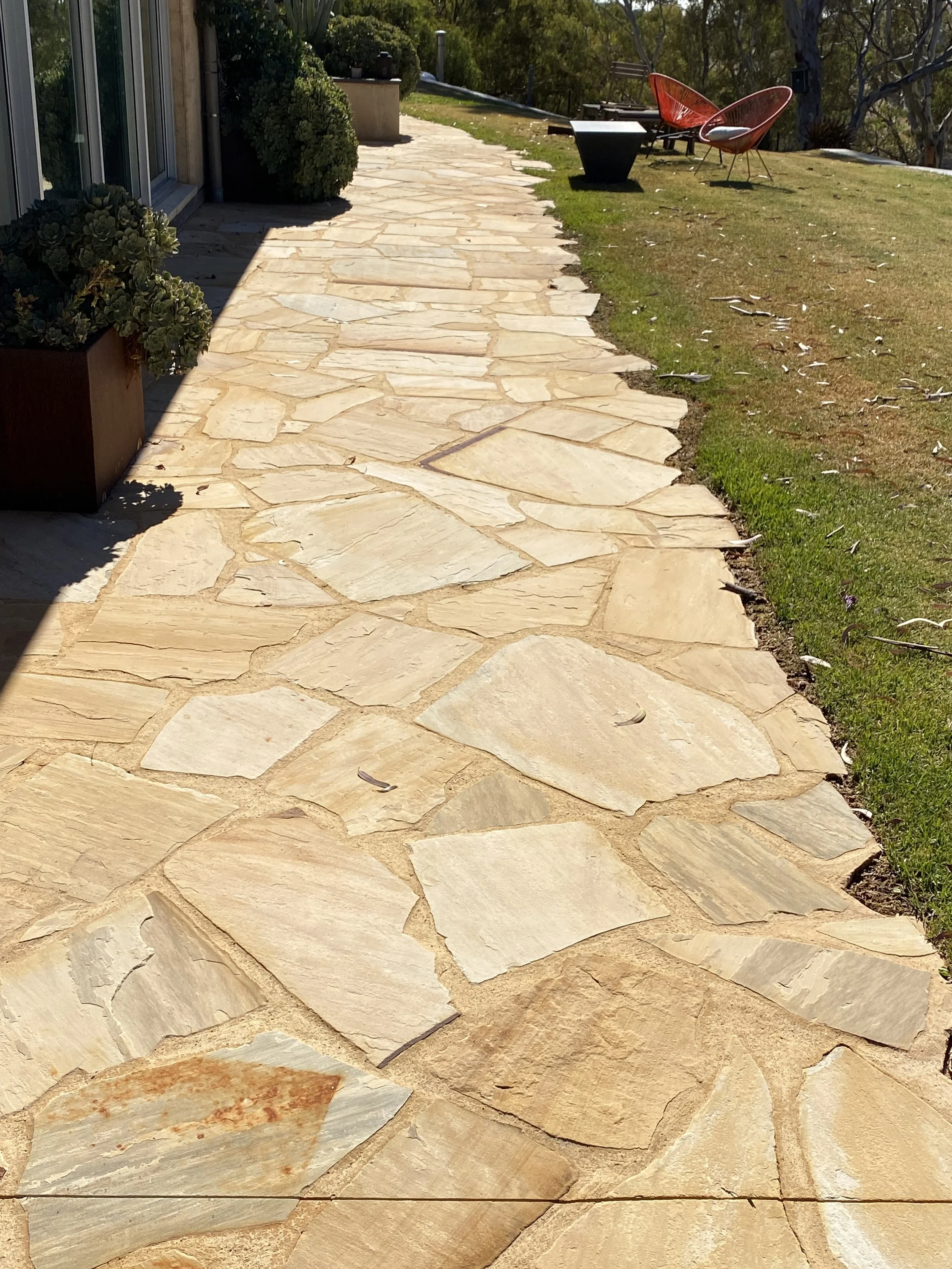 IMG_4135.jpeg