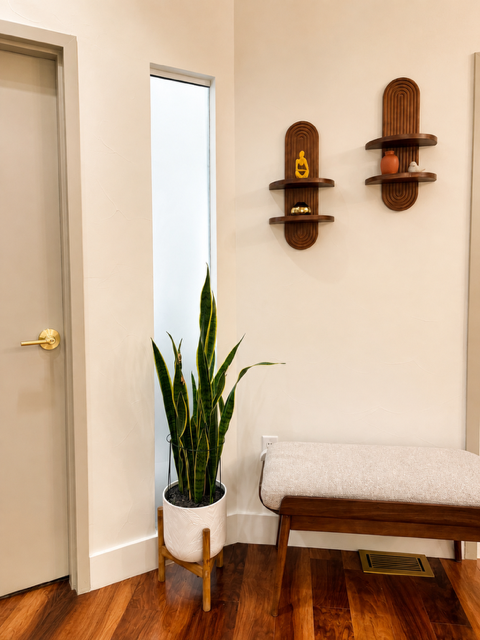 Interior of a room with a closed door, a potted snake plant, and two wooden wall shelves with decorative items.
