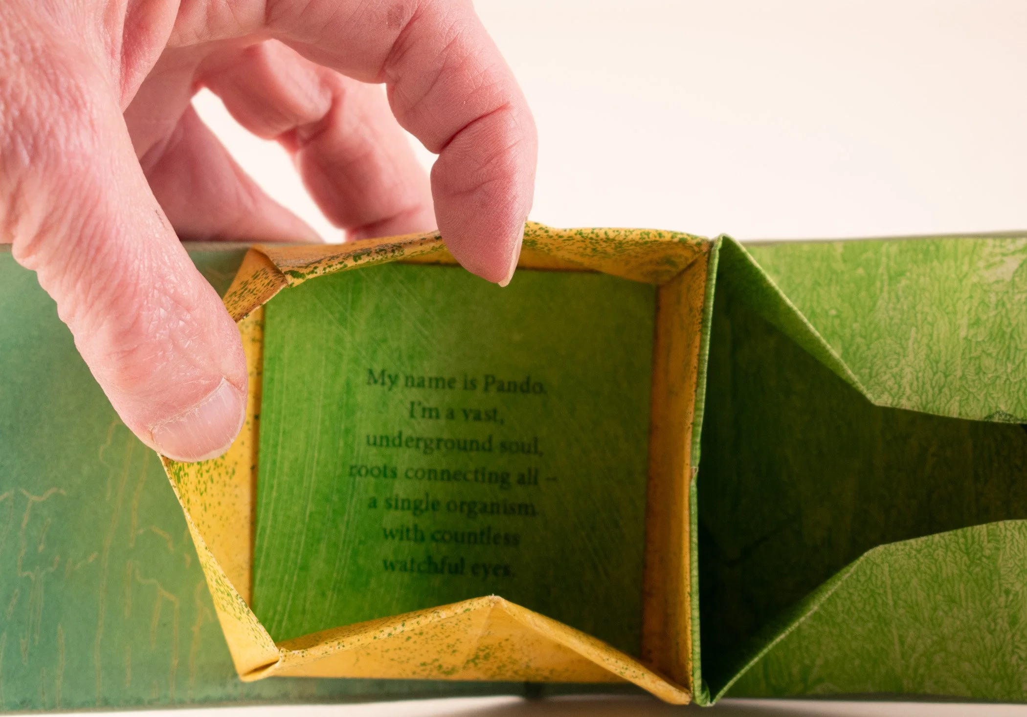 I-Pando-Hidden-Boxes-f.jpg