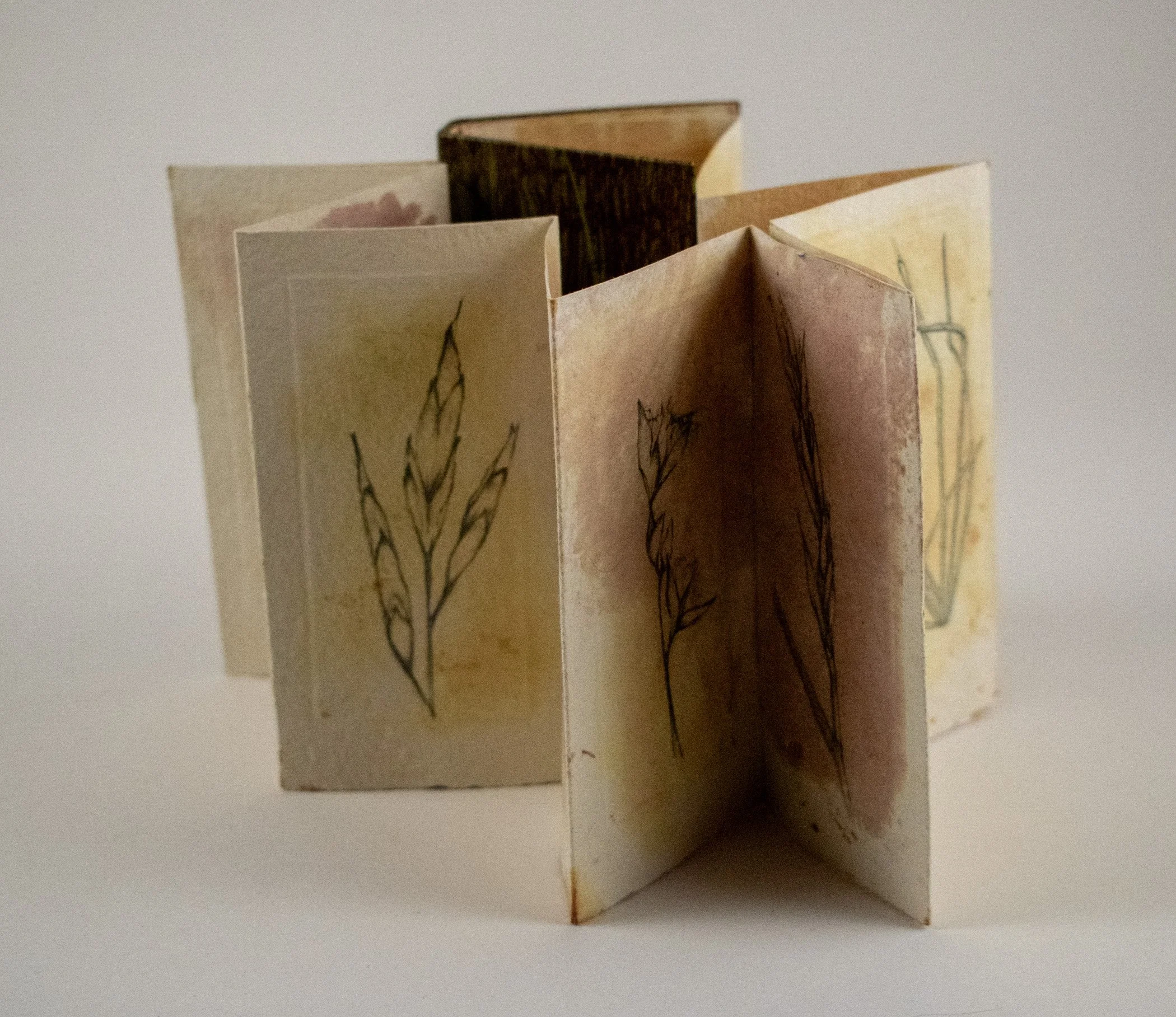 drawing-grasses-g.jpg