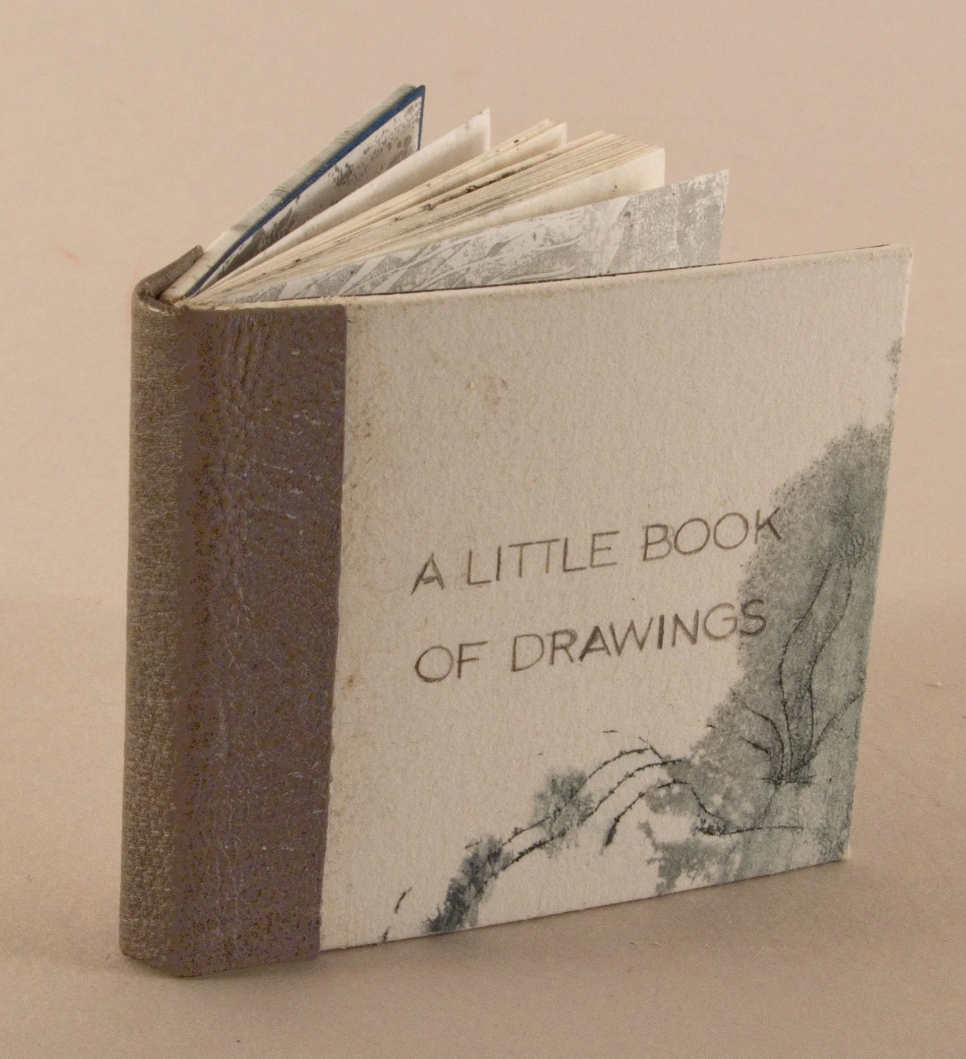 Little Book of Drawings1.jpg