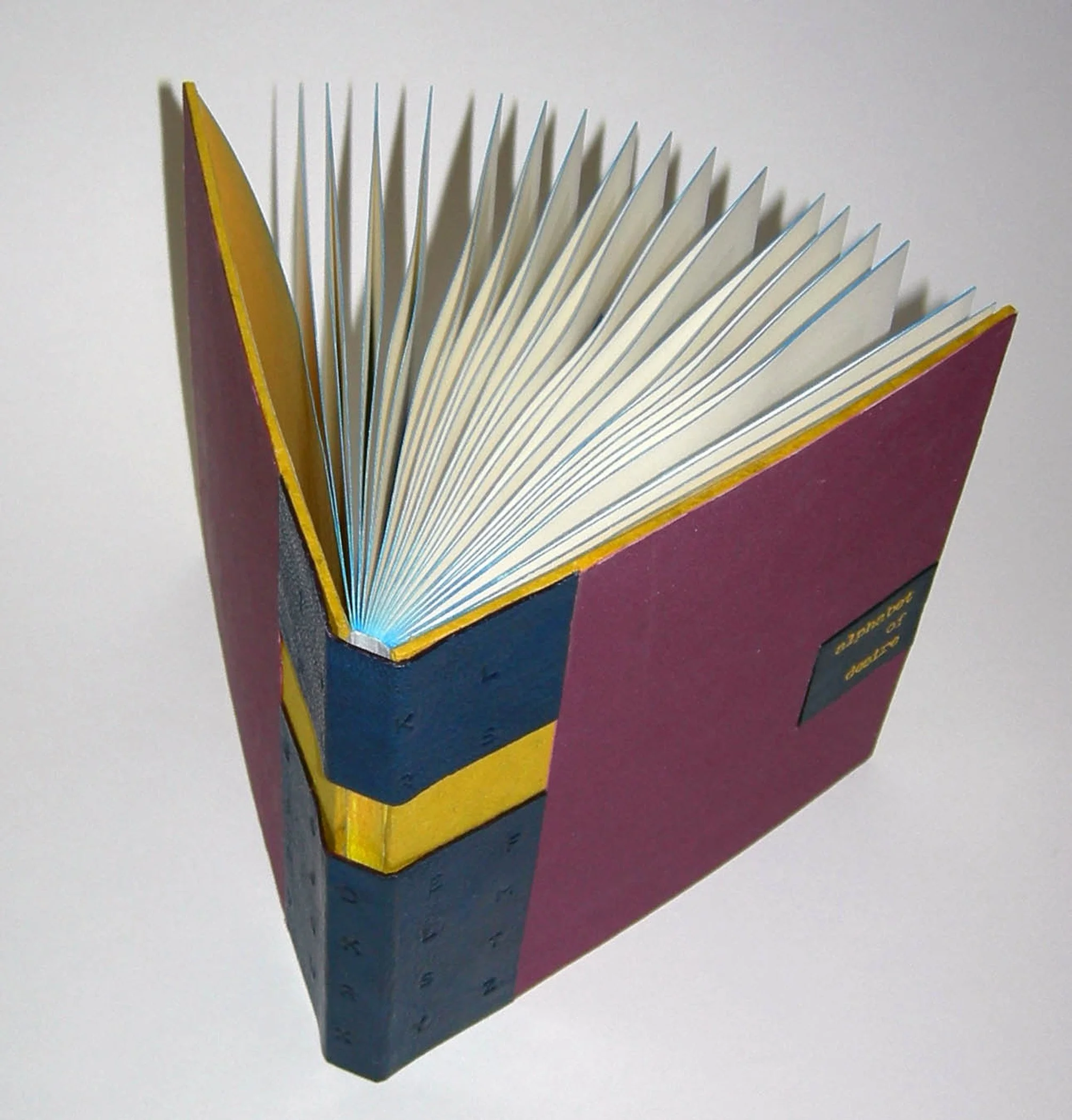 AoD book open from top.jpg