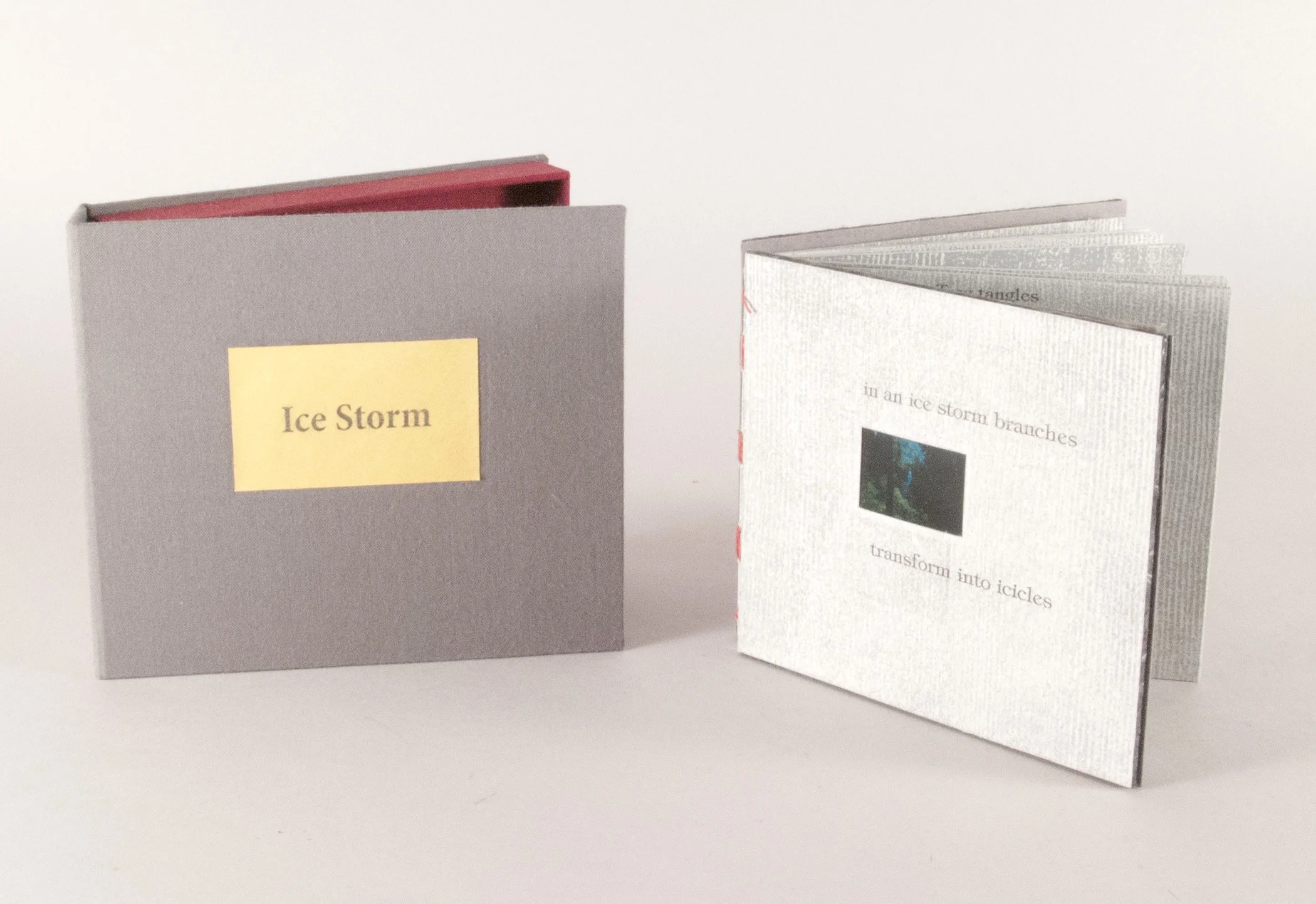 Alicia-Bailey-Ice Storm1_1.jpg
