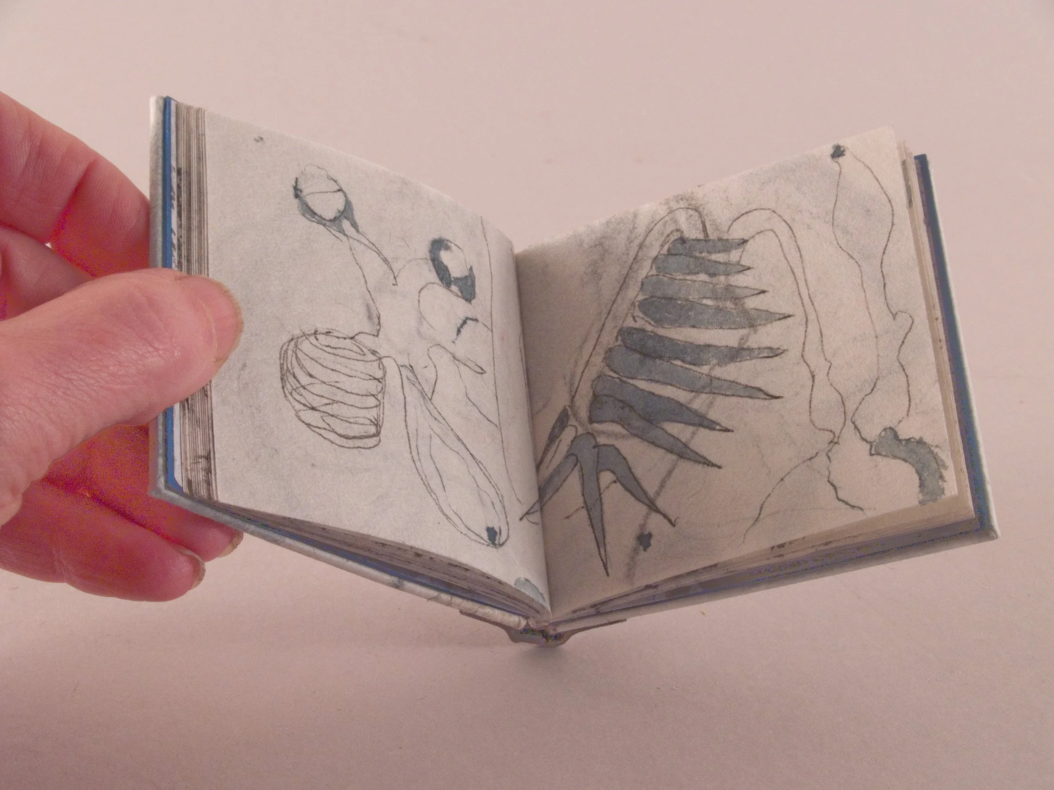 Little Book of Drawings2_1.jpg
