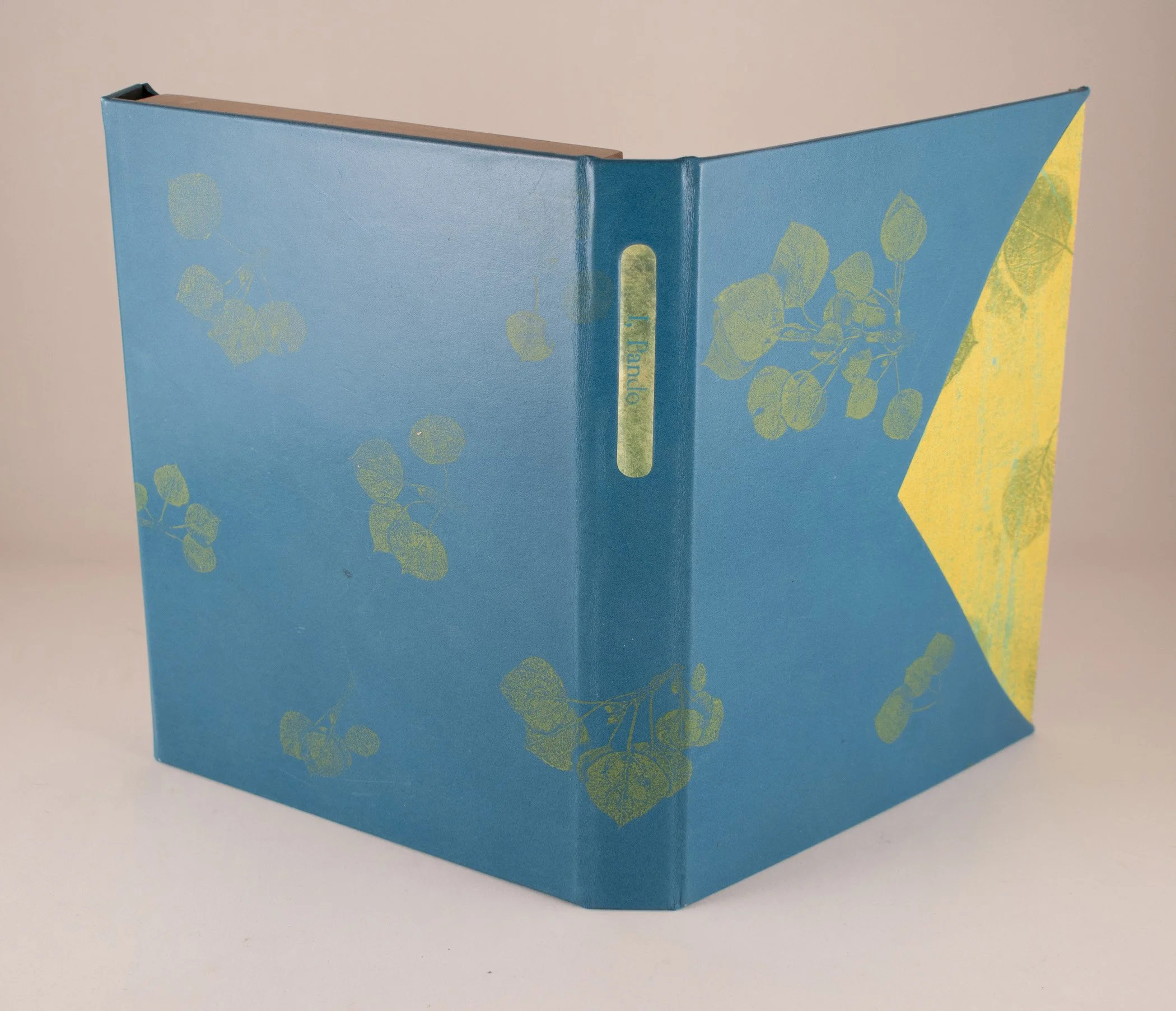 I-Pando-Deluxe-blue-version-h.jpg