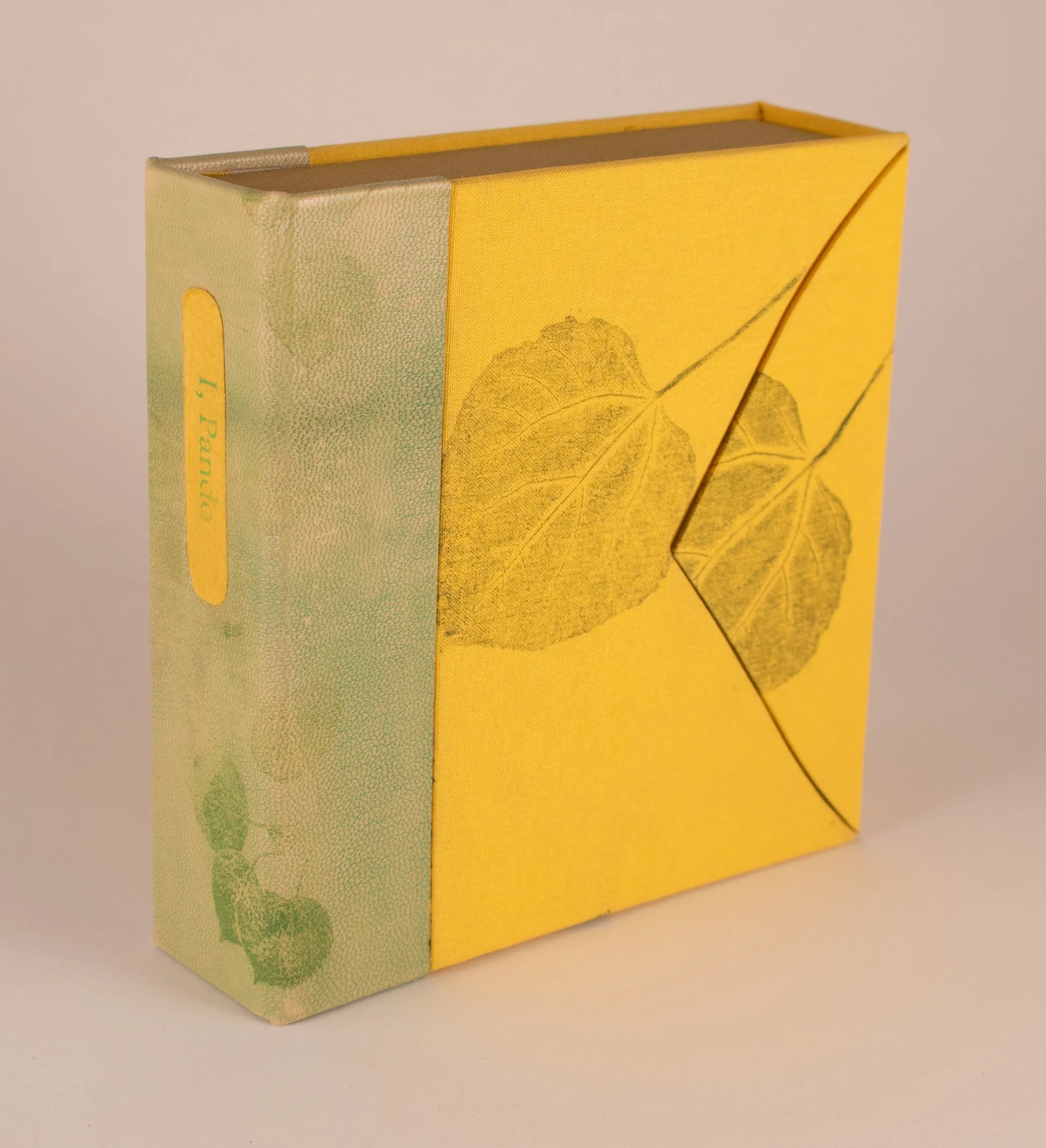 I-Pando-deluxe-boxed-v.1-f.jpg