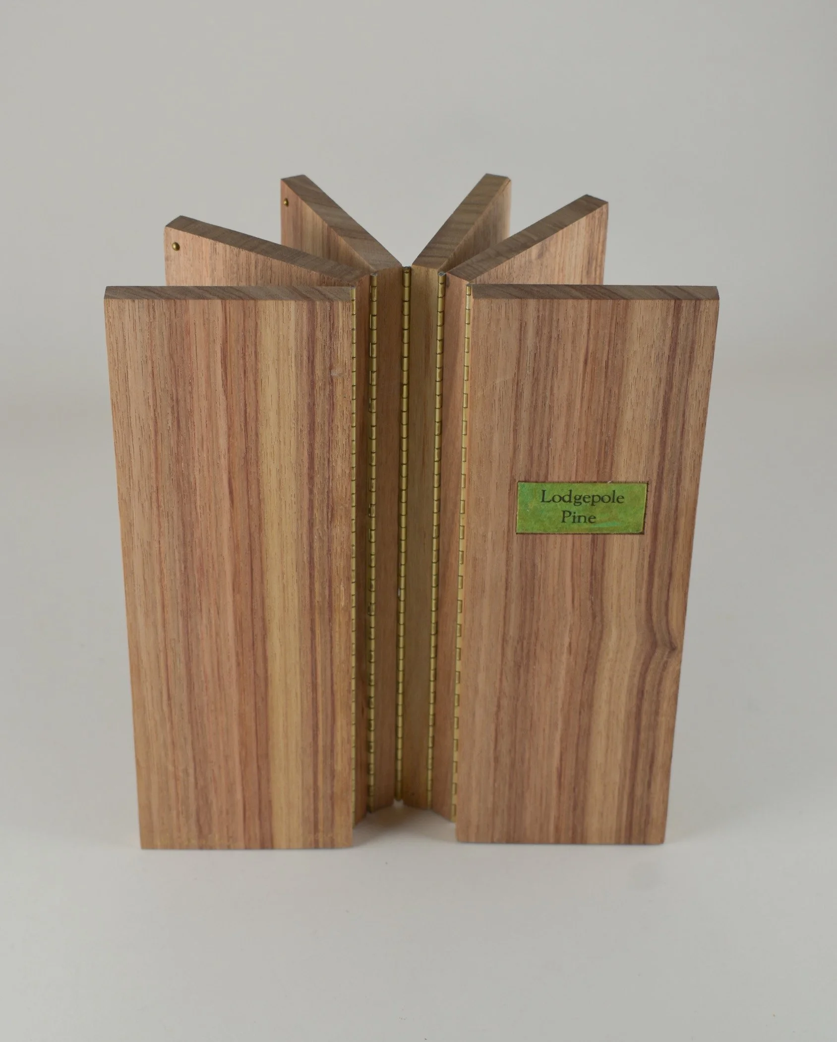 lodgepole-pine-1.jpg