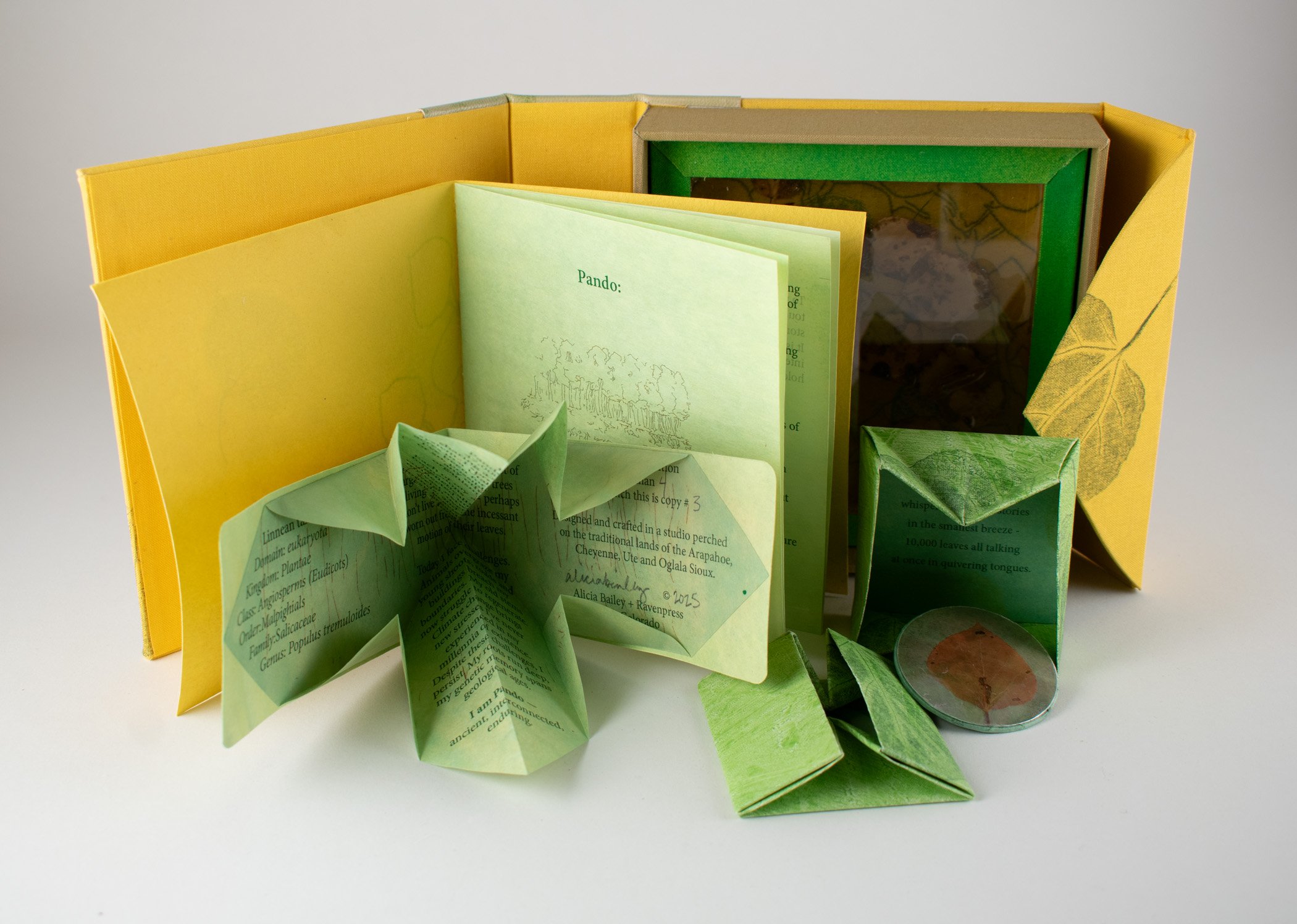 I-Pando-deluxe-yellow-b.jpg