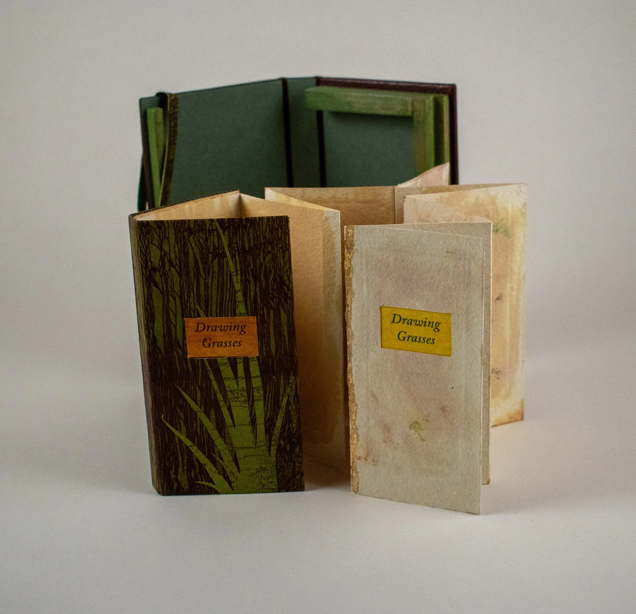 drawing-grasses-e.jpg