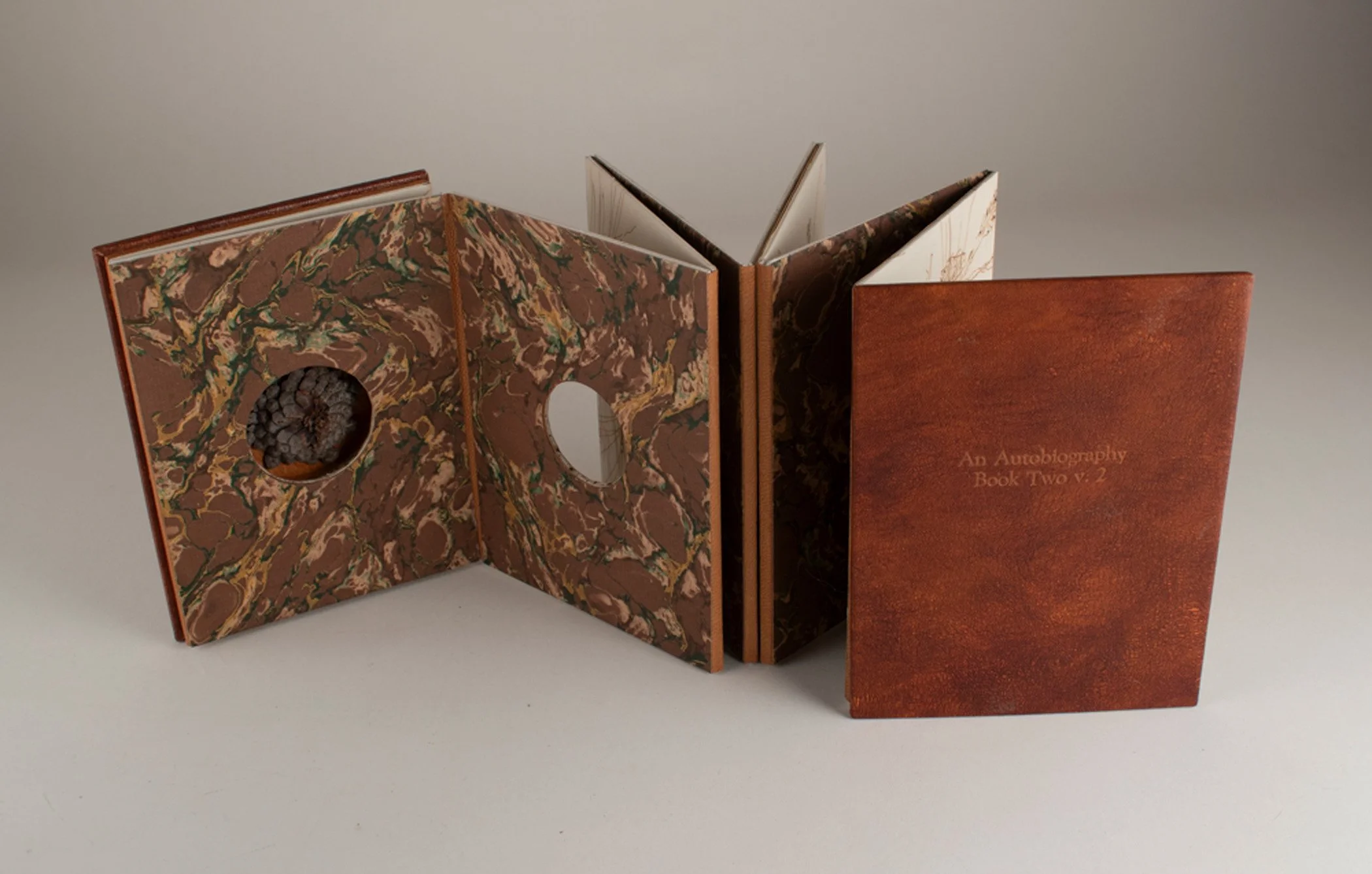 an-autobiography-book-two-v_1.jpg