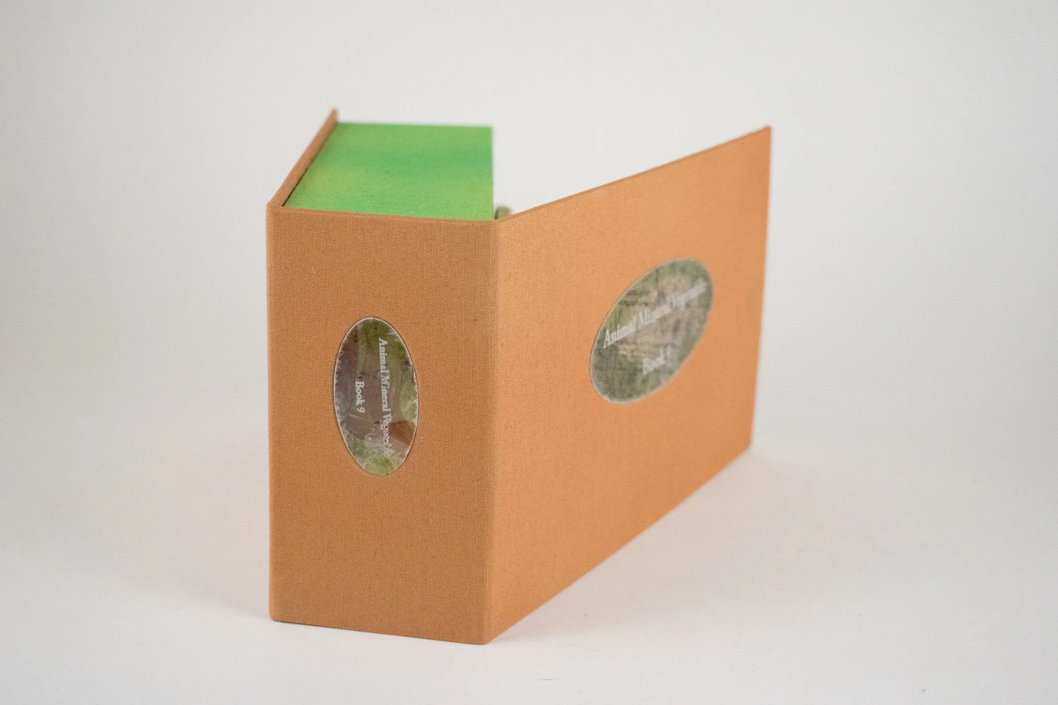 AMV-9-b.jpg