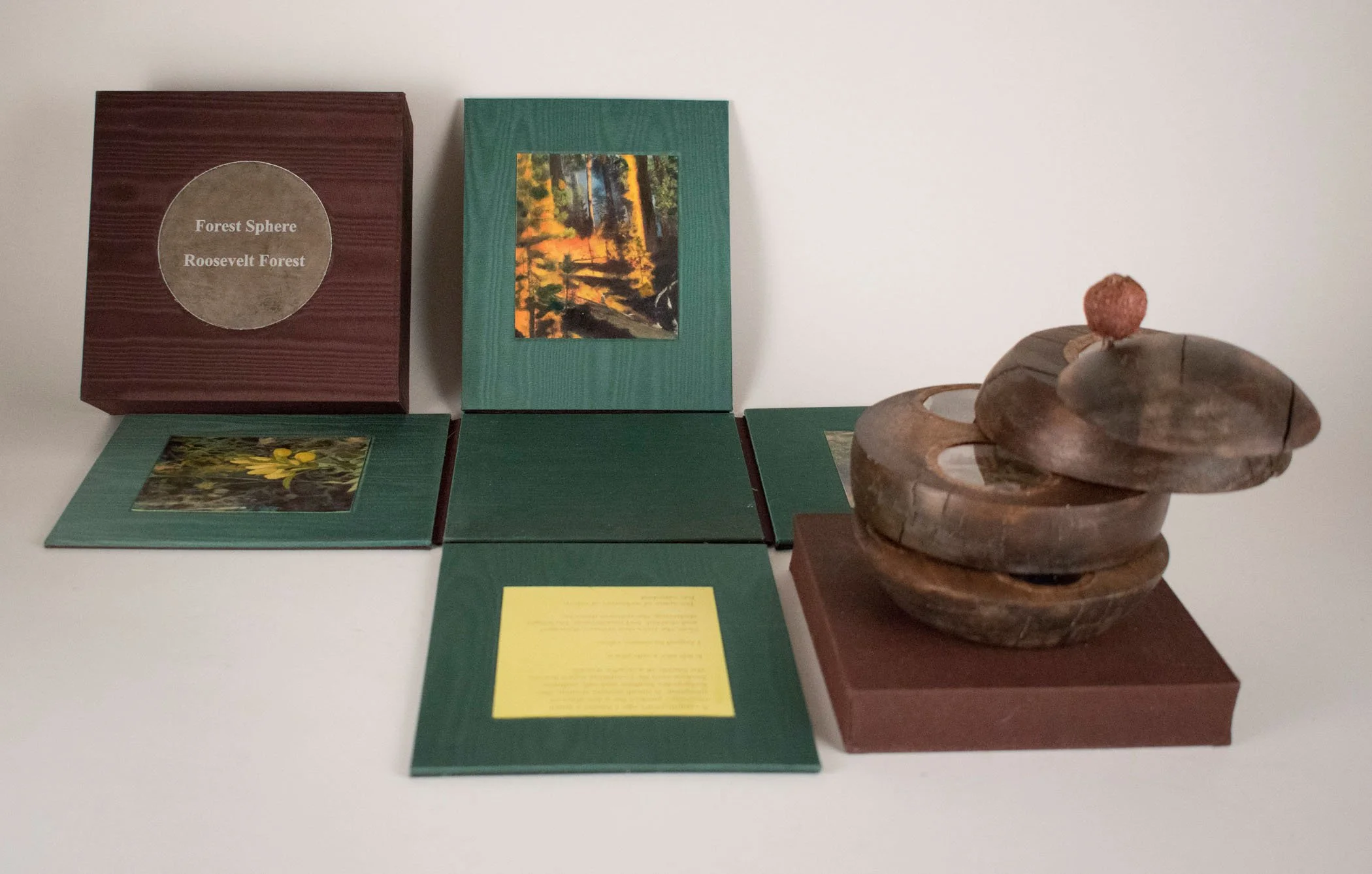 Forest-Sphere-Roosevelt-Forest-e.jpg