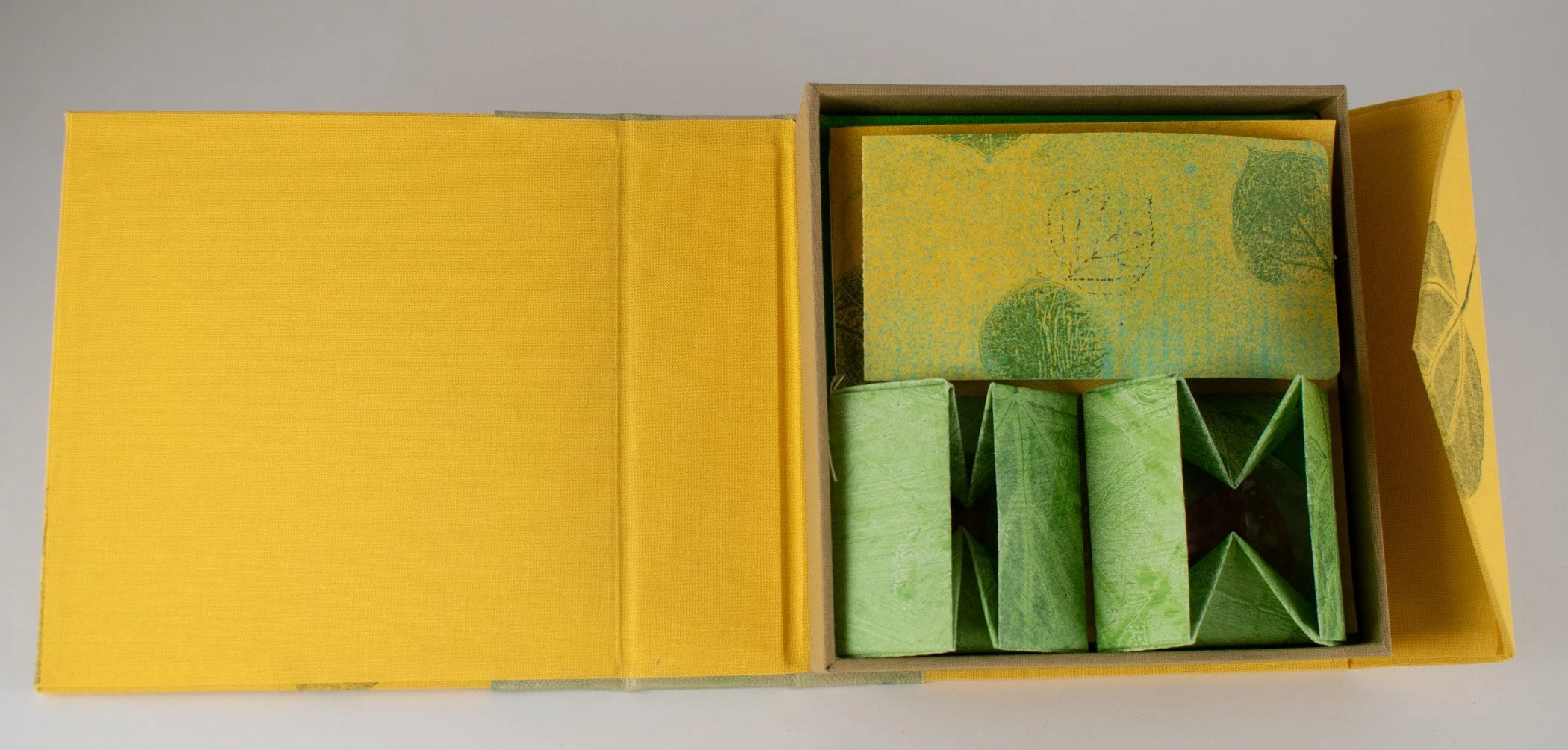 I-Pando-deluxe-yellow-d.jpg