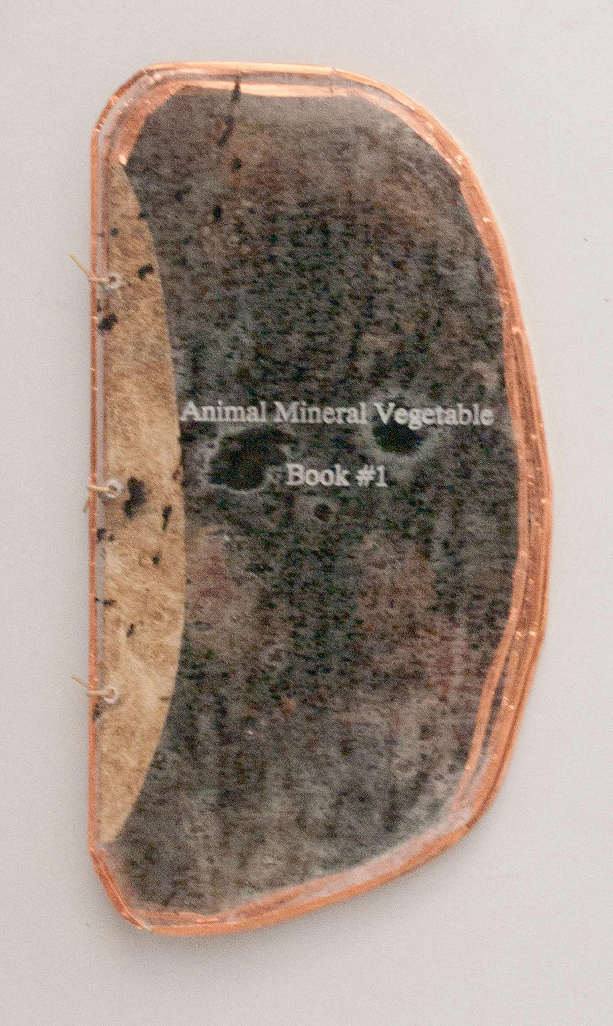 animal mineral vegetable #1.4.jpg