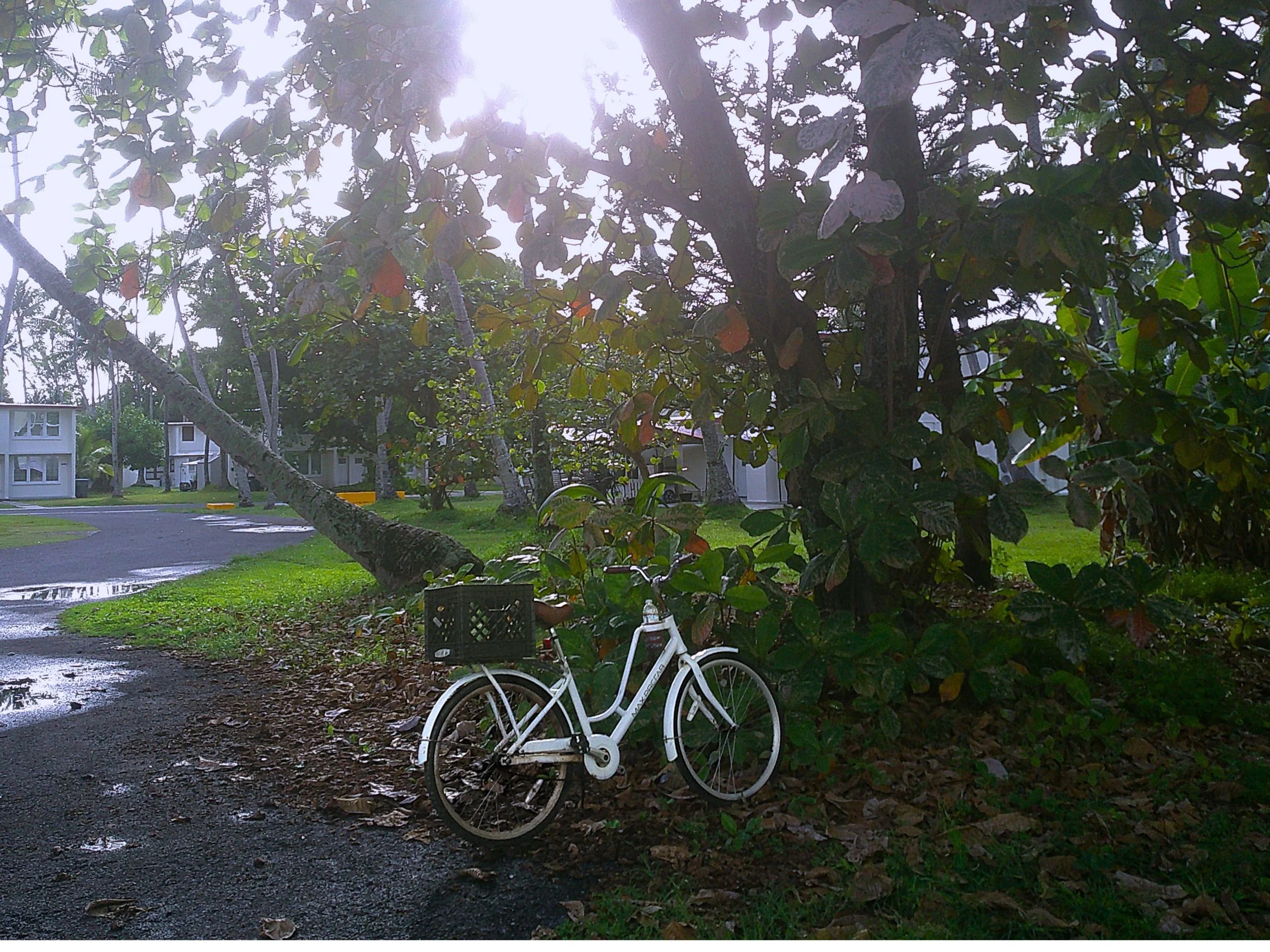 Parked Bike.jpeg
