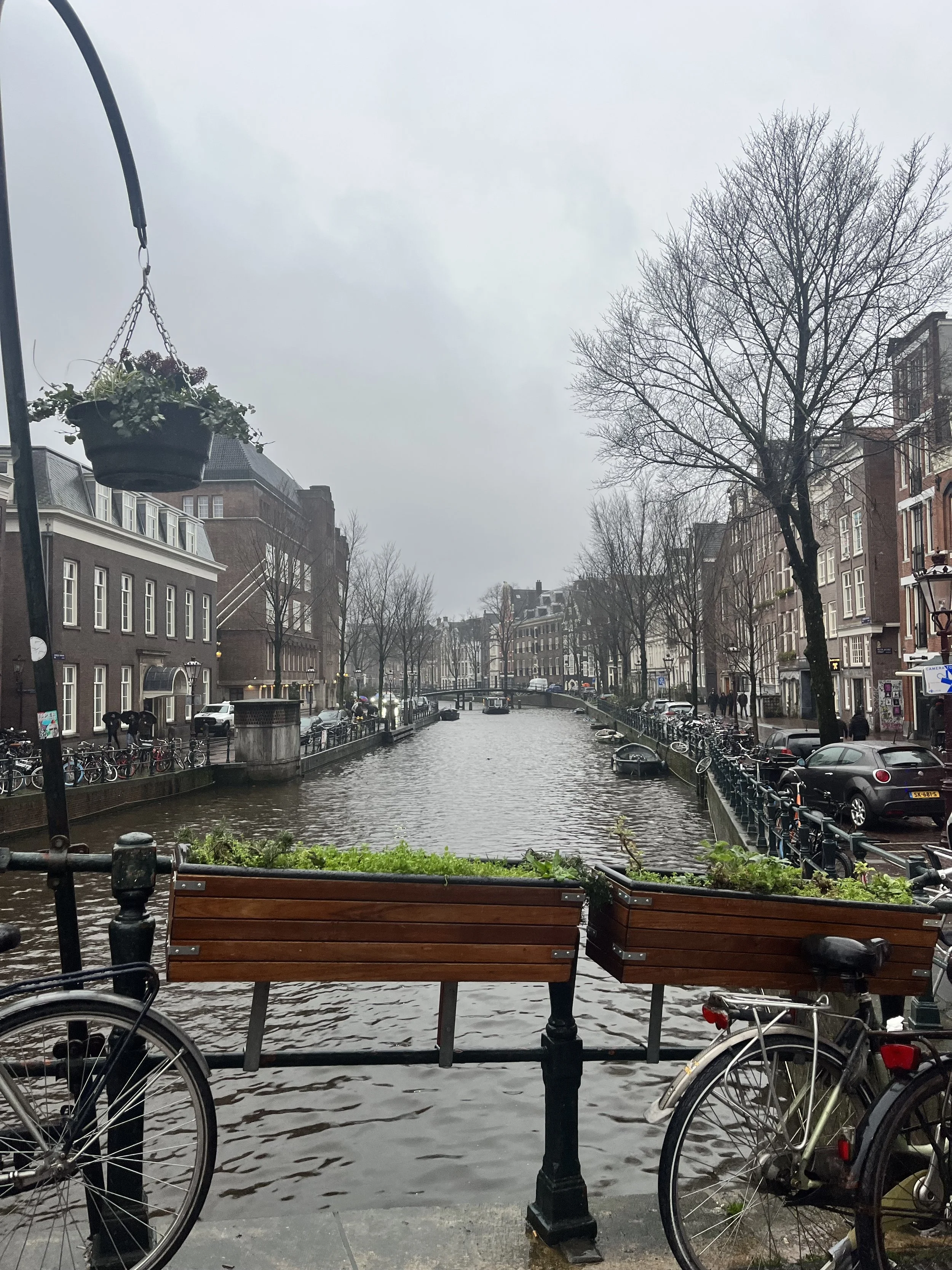View of a canal street in a European city, lined with bicycles parked along the sidewalks, with tall leafless trees and residential buildings on both sides. A hanging flower pot is partially visible on the left, and the overall scene is overcast and damp.