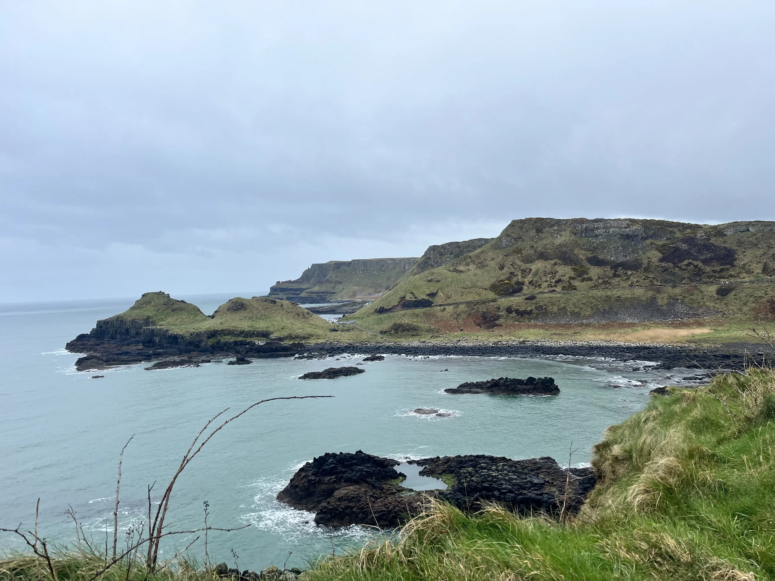 Cliffs and rocky coast along a body of water, with overcast sky and grassy foreground.
