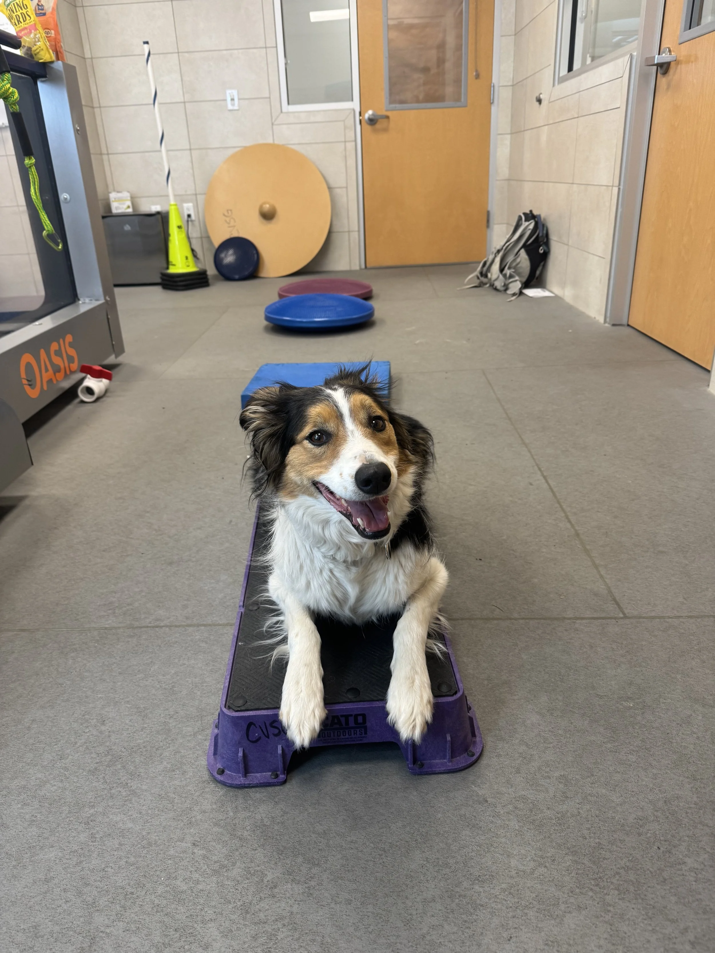 Recovering from Injury/Medical Procedure - 1 hr Session